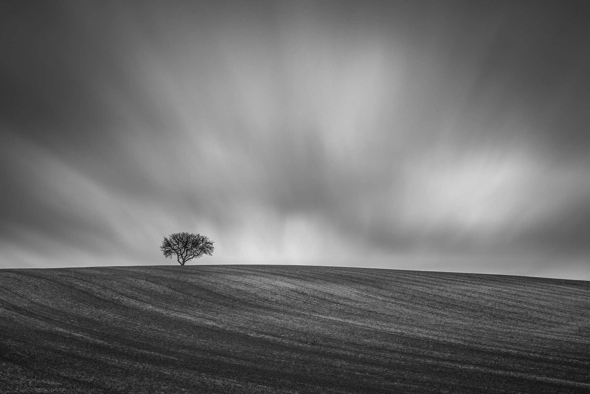 Nikon D750 + Sigma 24-105mm F4 DG OS HSM Art sample photo. Entre el cielo y la tierra. photography