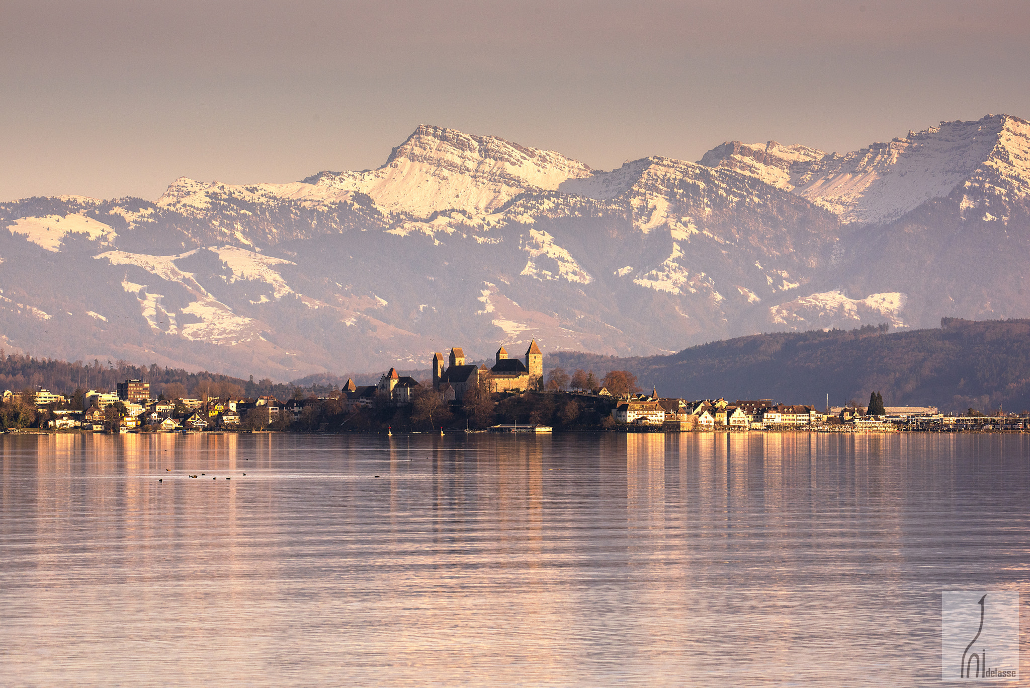 Nikon D810 + Sigma 50mm F2.8 EX DG Macro sample photo. Rapperswil in evening light photography