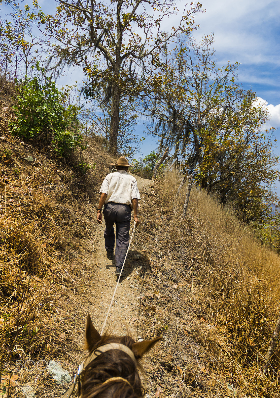Nikon D200 sample photo. Old man carrying a horse ride, jalapa guatemala. photography