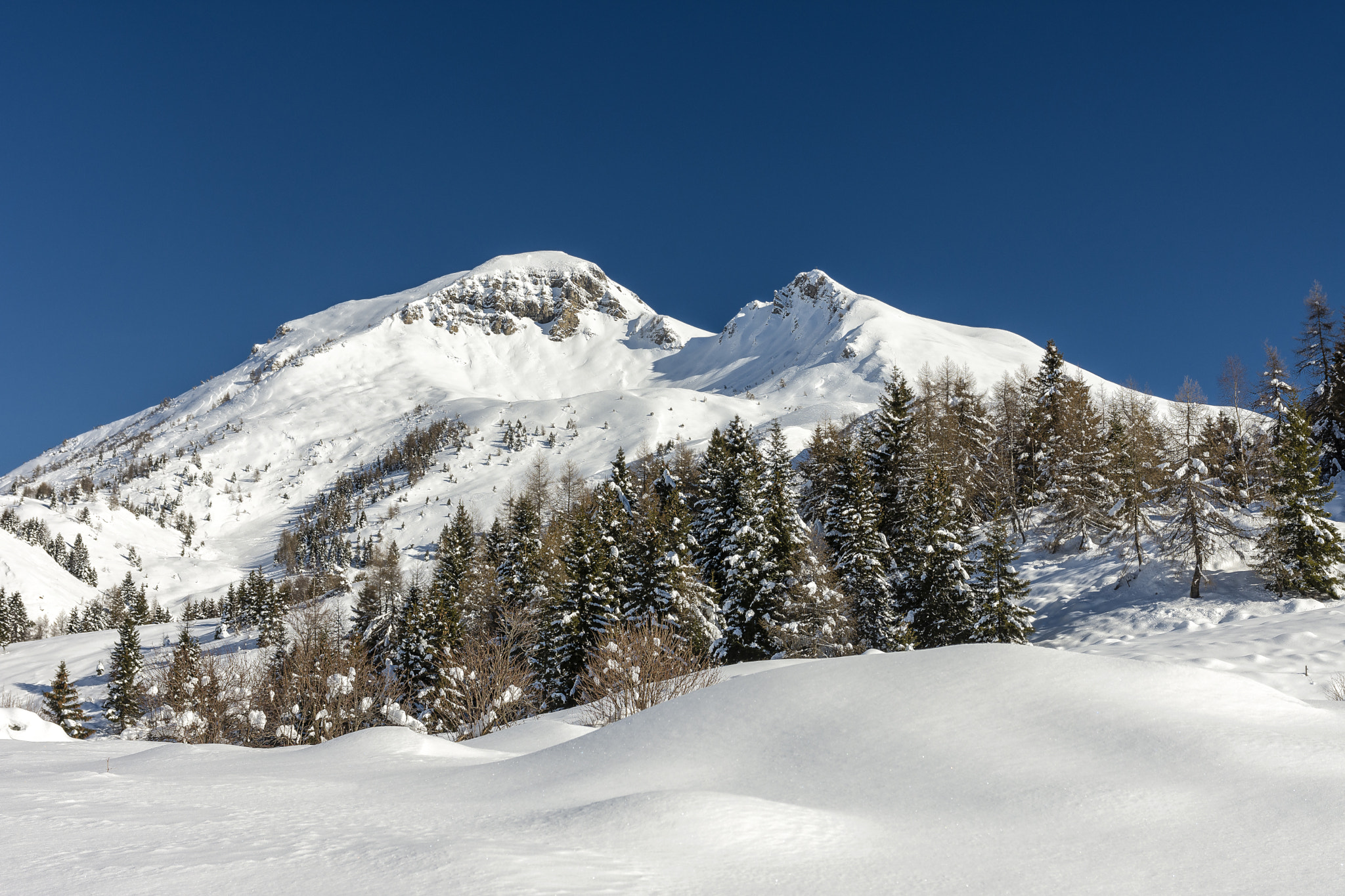 Nikon D7200 + Sigma 17-70mm F2.8-4 DC Macro OS HSM | C sample photo. Magic winter photography