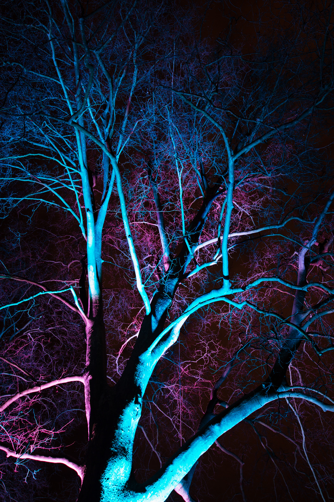 Sigma 10-20mm F3.5 EX DC HSM sample photo. Winterlichter photography