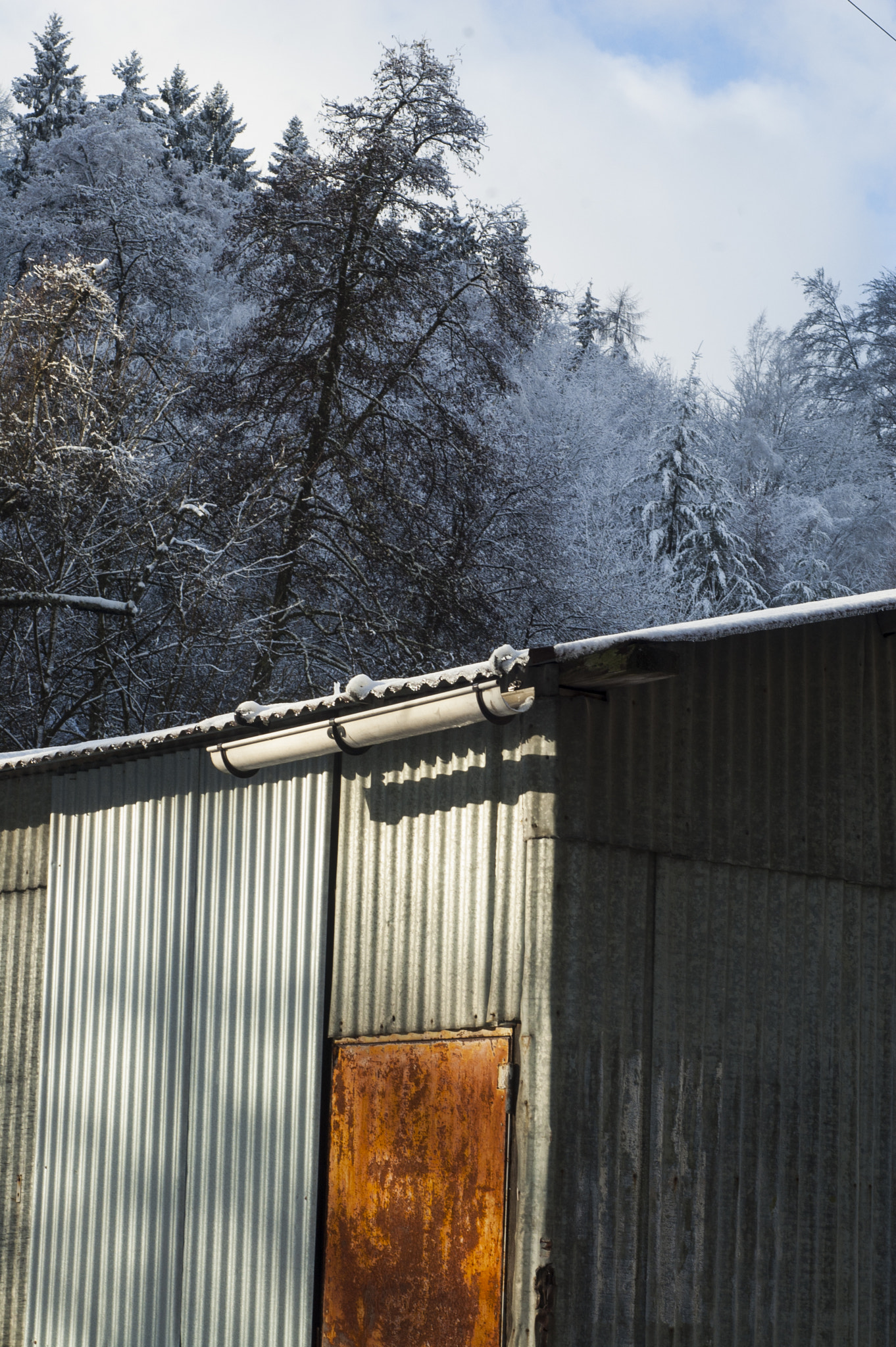 Nikon D50 + Nikon AF Nikkor 50mm F1.8D sample photo. Shed in ardenne photography