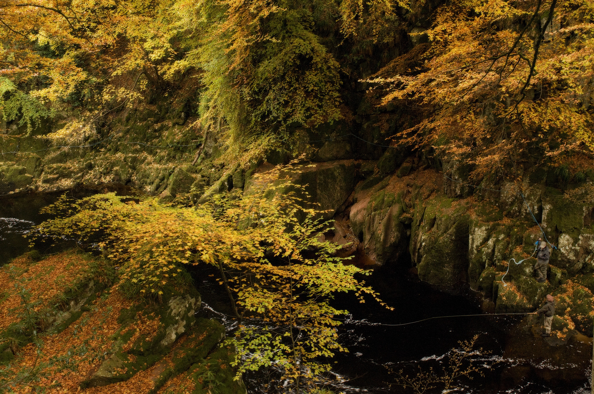 Nikon D300 sample photo. Fishing in autumn photography