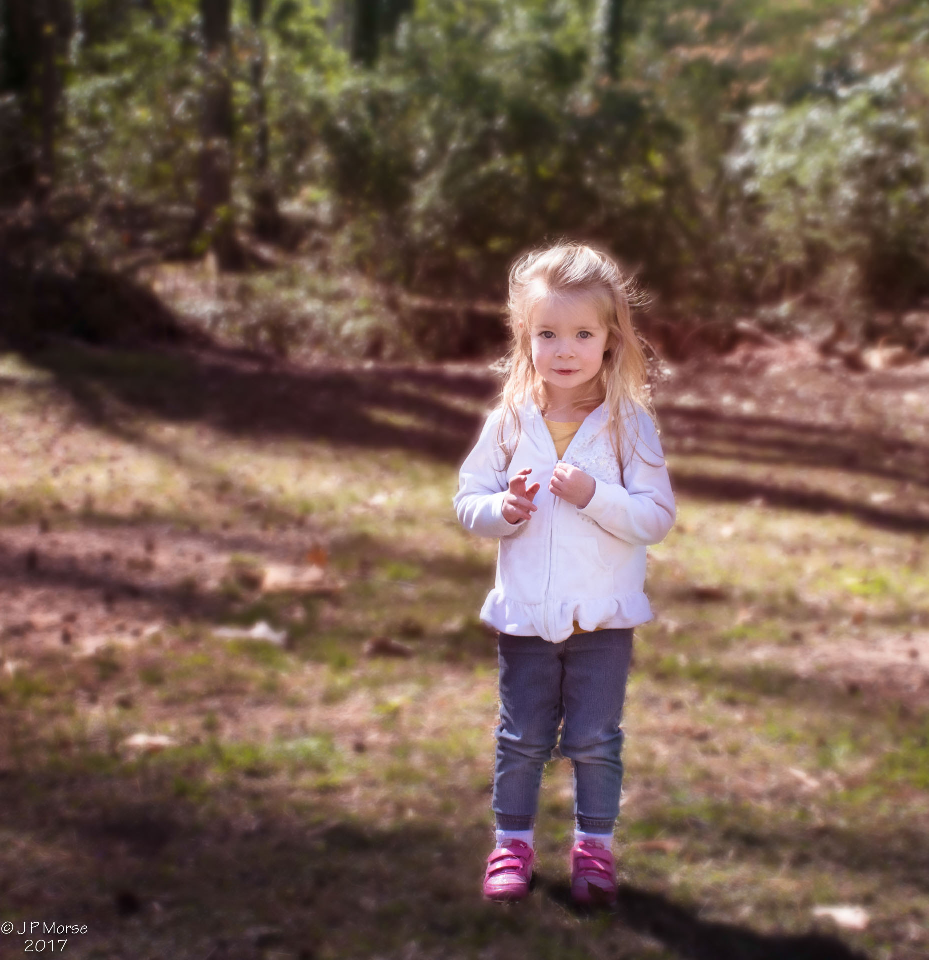 Nikon D500 sample photo. Violet photography