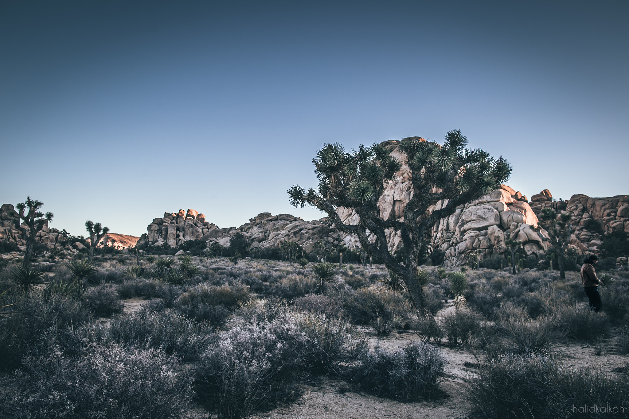 Canon EF 24mm F1.4L II USM sample photo. Slacken photography