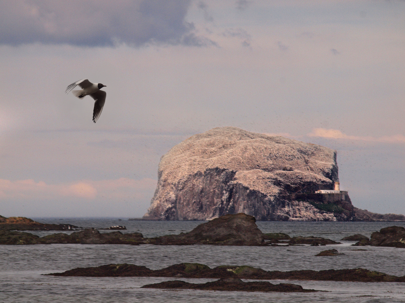 Olympus E-600 (EVOLT E-600) sample photo. Bass rock photography