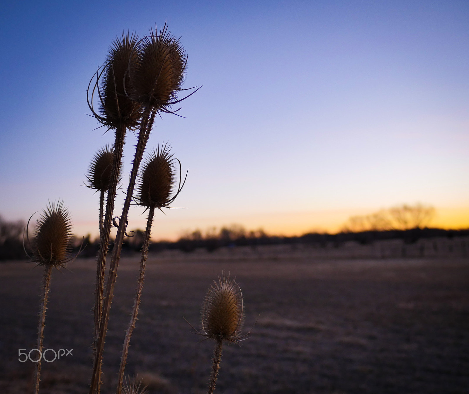 Panasonic Lumix DMC-GH4 sample photo. Good mornin' colorado photography