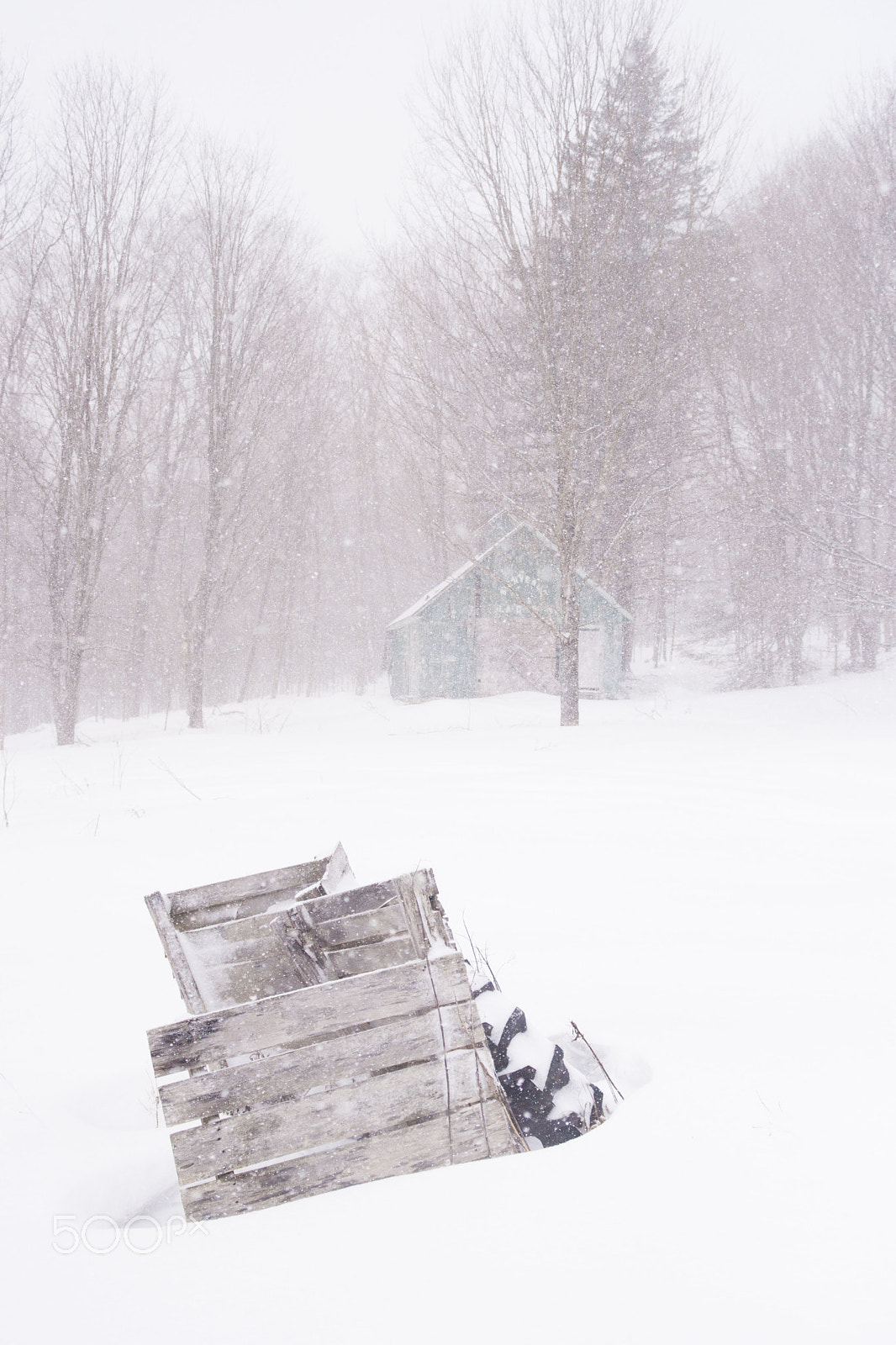 Sony Alpha DSLR-A900 sample photo. Winter is not over photography