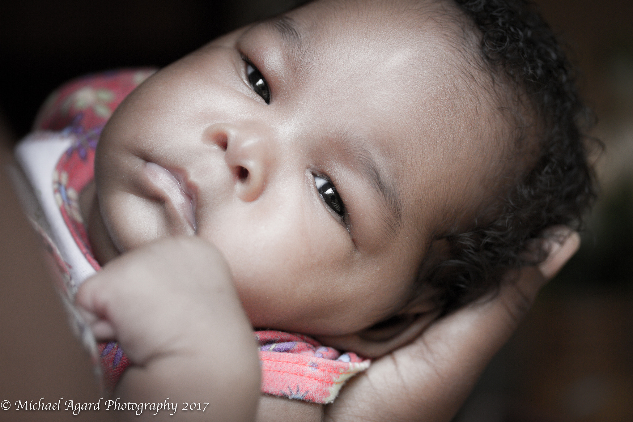Canon EF-S 60mm F2.8 Macro USM sample photo. Beautiful photography