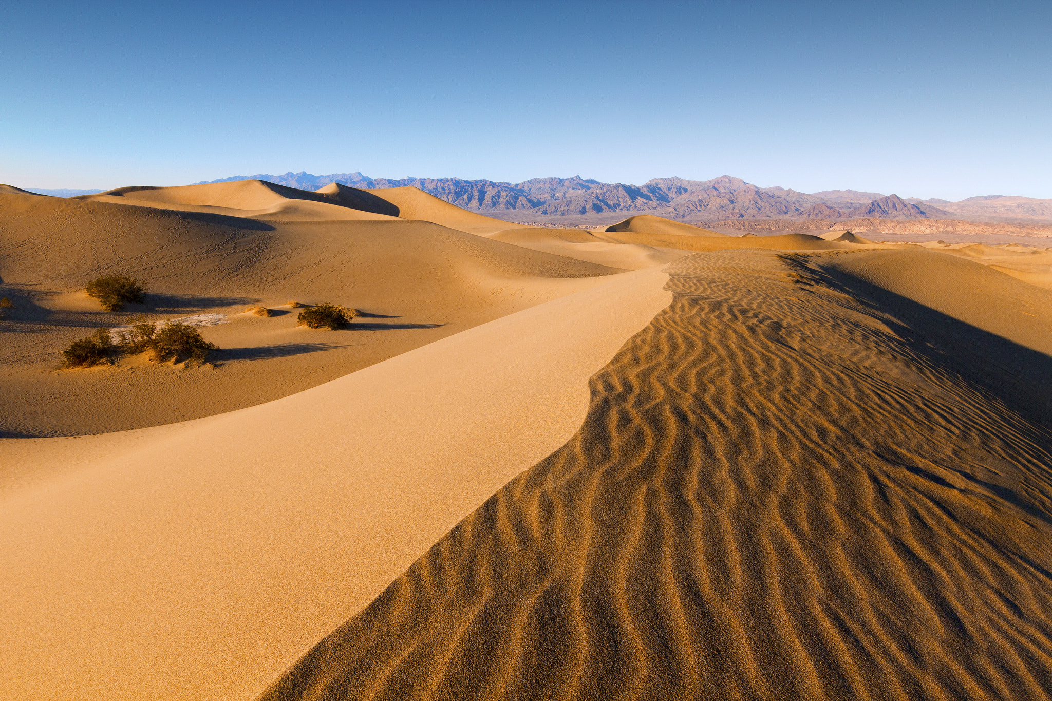 Sigma 10-20mm F3.5 EX DC HSM sample photo. Mesquite flat sand dunes photography