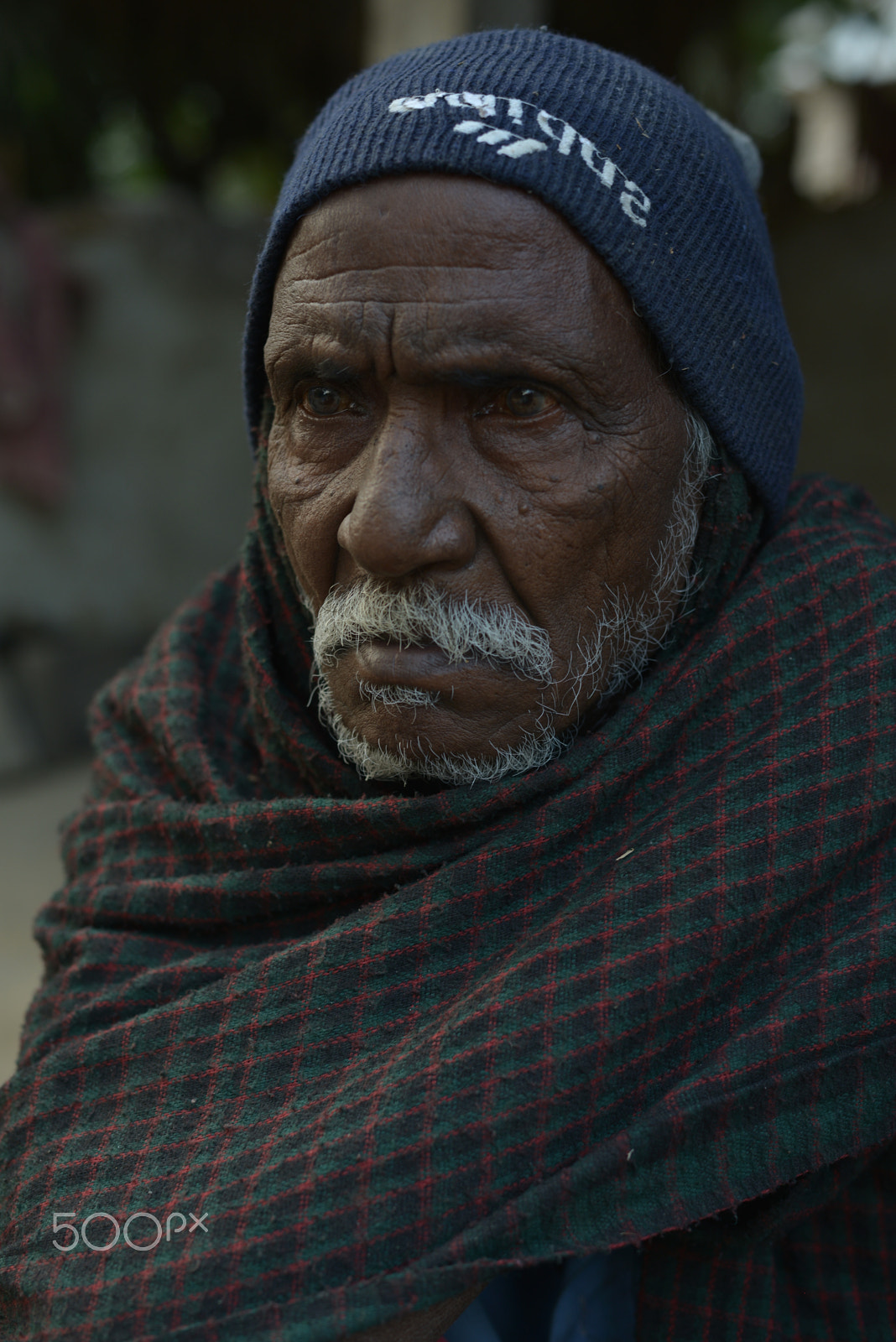 Nikon D800E + Nikon AF Nikkor 50mm F1.4D sample photo. Tribal old man wrapped in shawl west bengal india photography