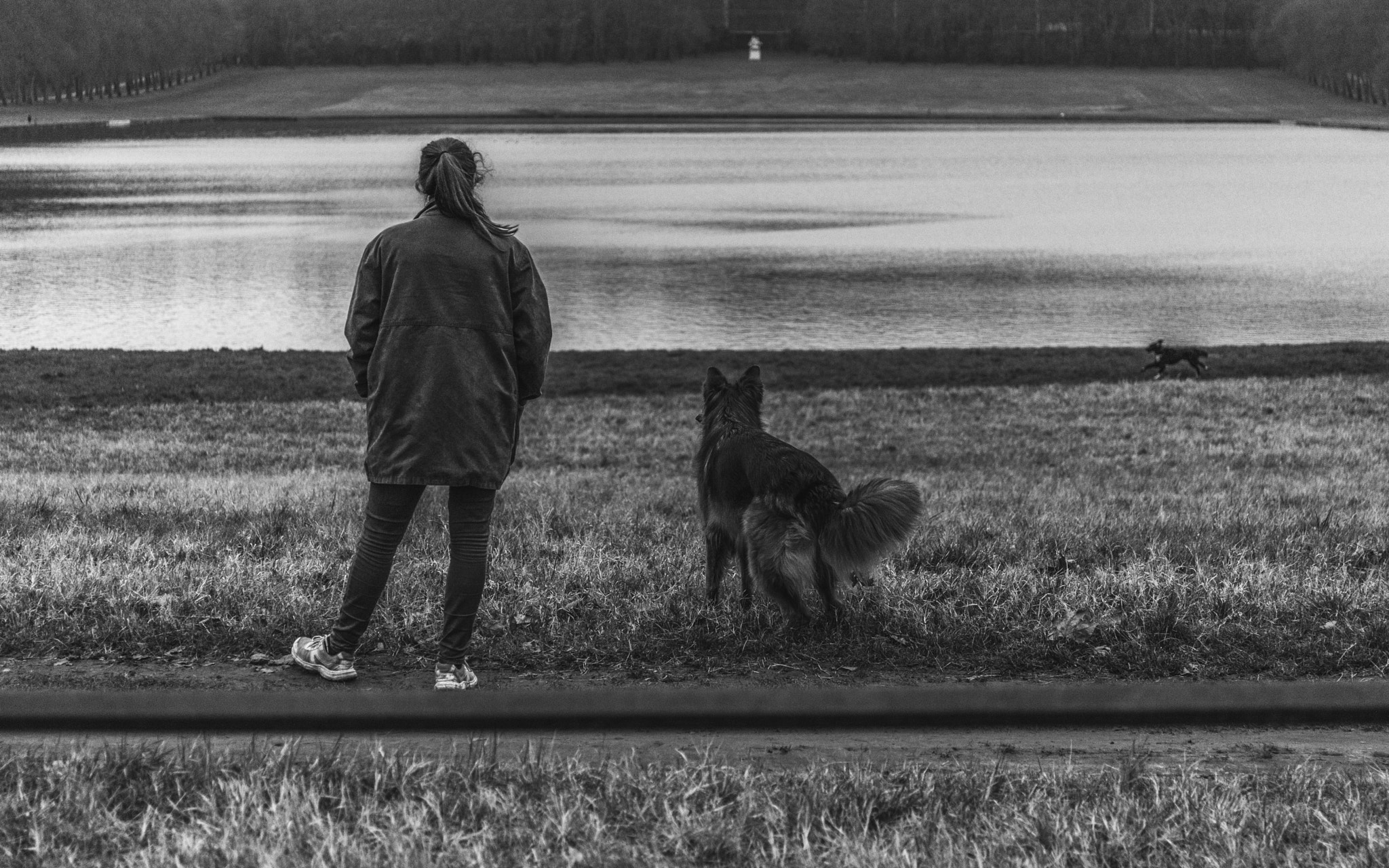 Canon EF 24-70mm F4L IS USM sample photo. A girl and her dog photography