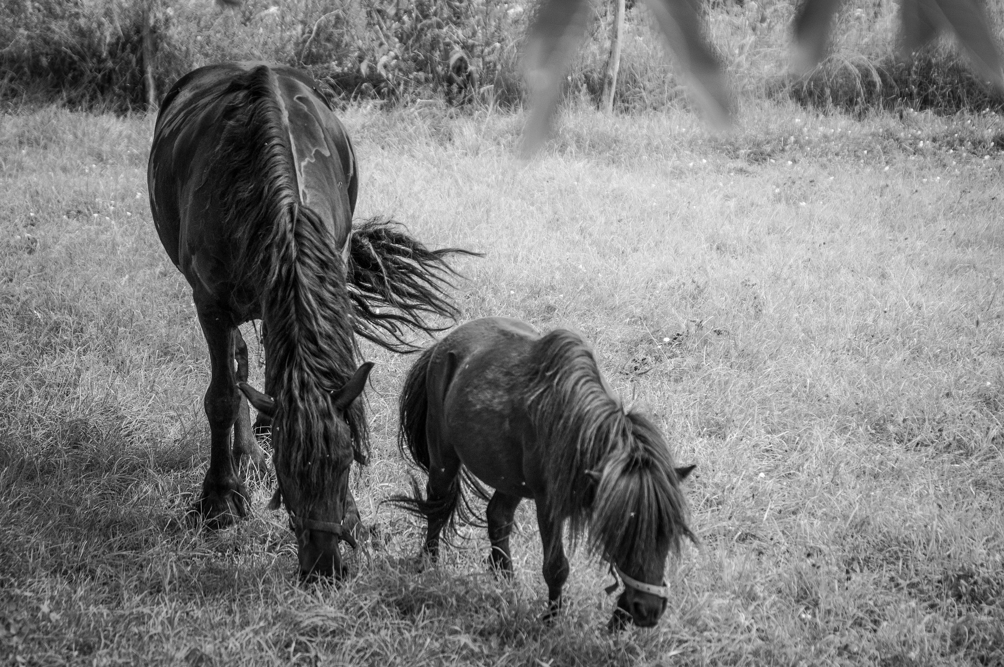 Pentax K-3 sample photo. Mother and daughter photography