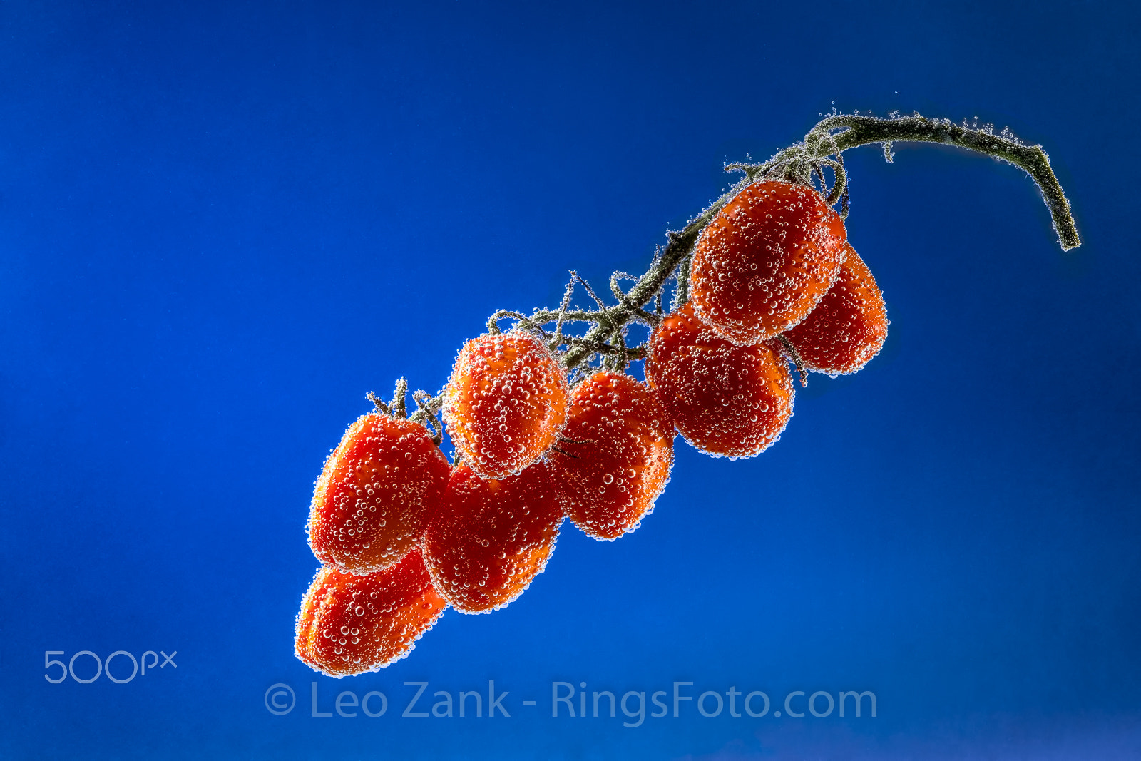 Fujifilm X-T2 + Fujifilm XF 60mm F2.4 R Macro sample photo. A flying tomatoes photography