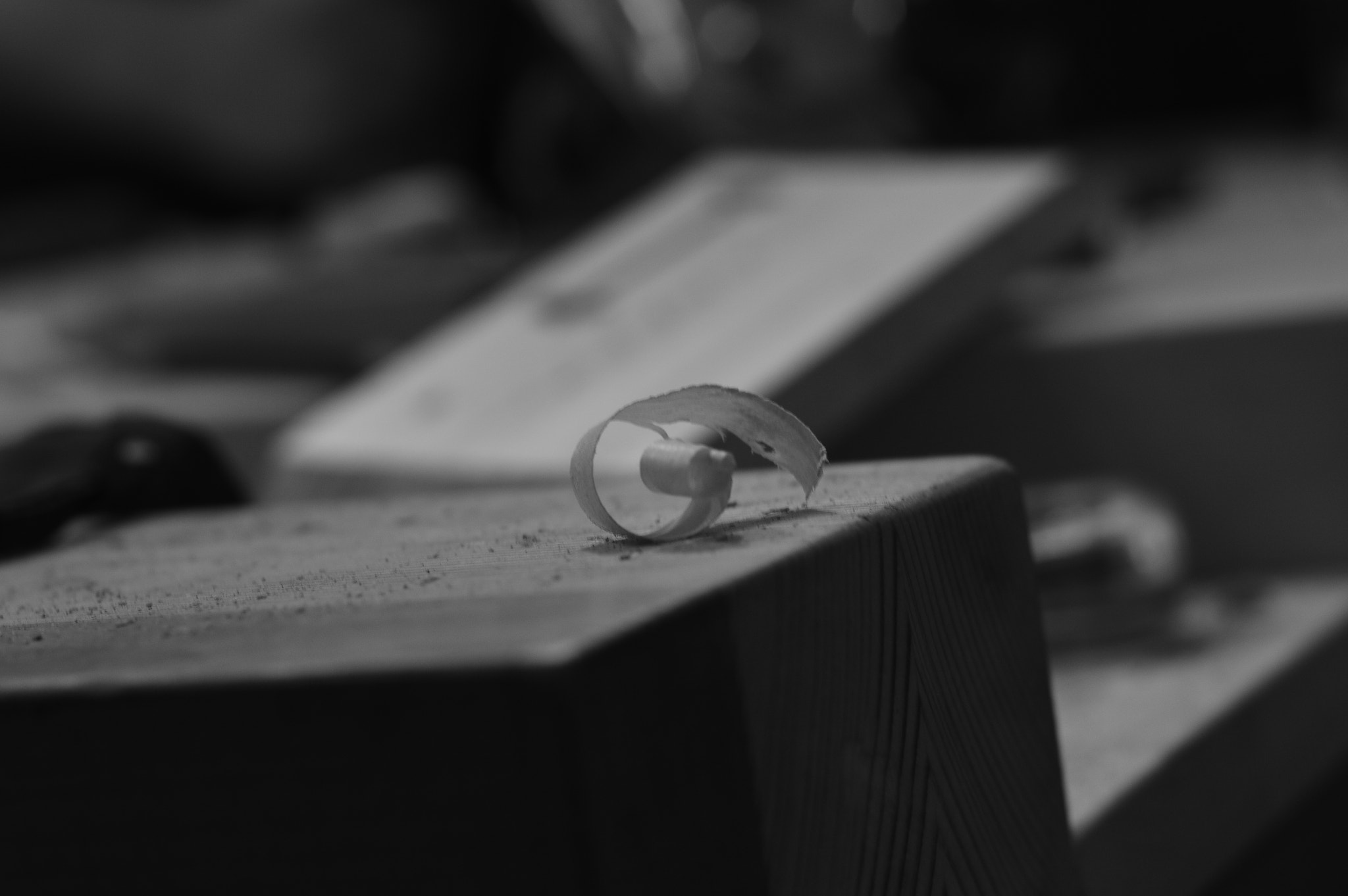 Nikon D3200 + Nikon AF Nikkor 50mm F1.8D sample photo. Woods photography