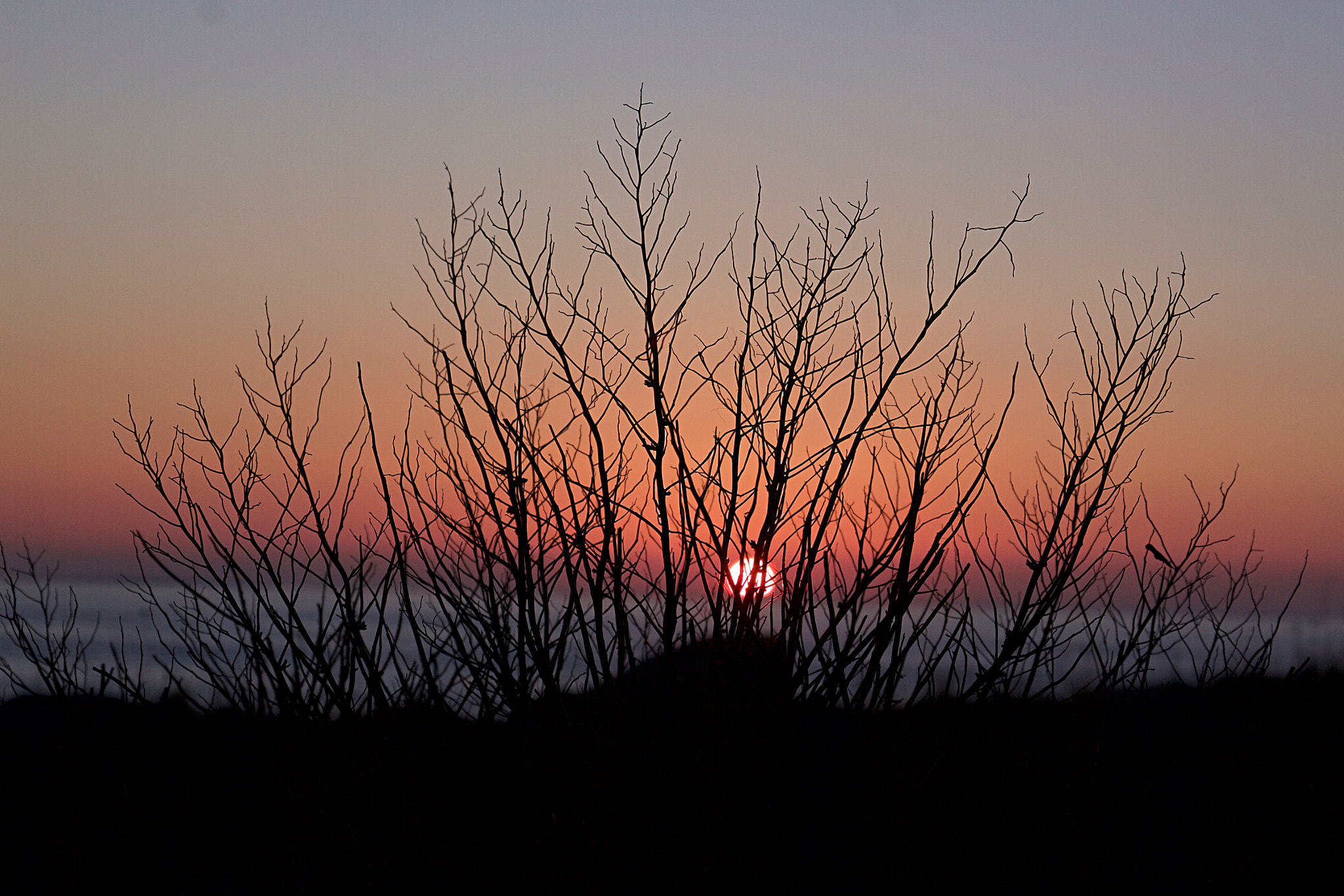 Canon EF 28-105mm f/3.5-4.5 USM sample photo. W i n t e r    s u n s e t photography