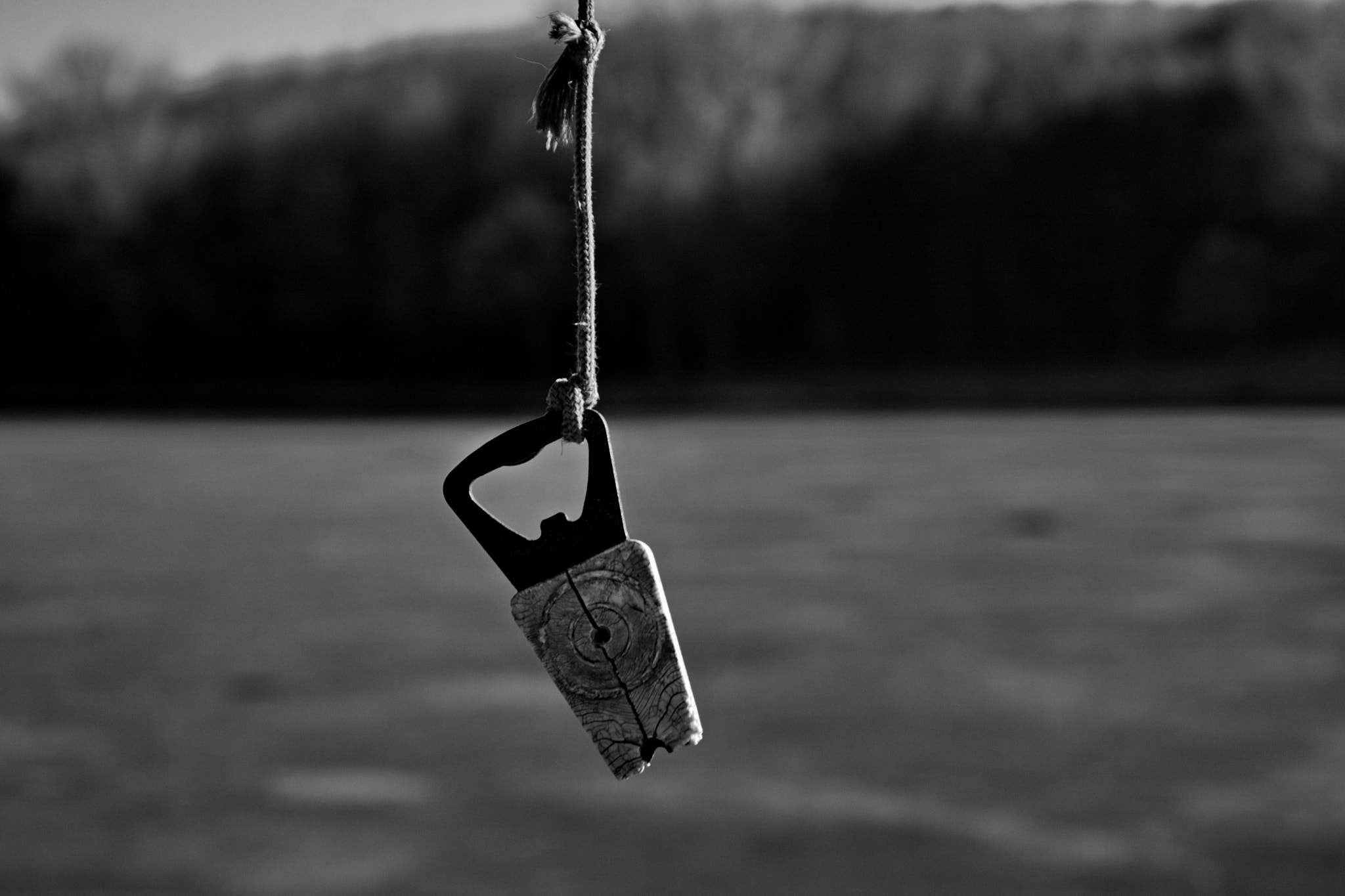 Canon EF-S 18-55mm F3.5-5.6 IS sample photo. Victim of winter photography