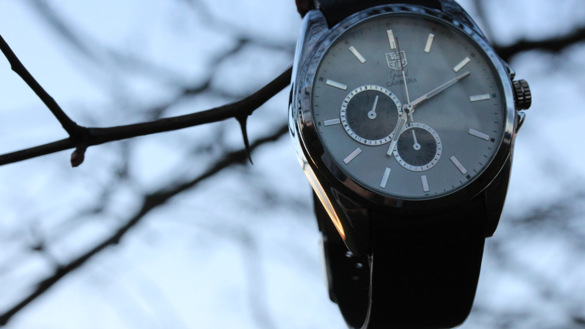 Canon EF-S 60mm F2.8 Macro USM sample photo. A watch photography