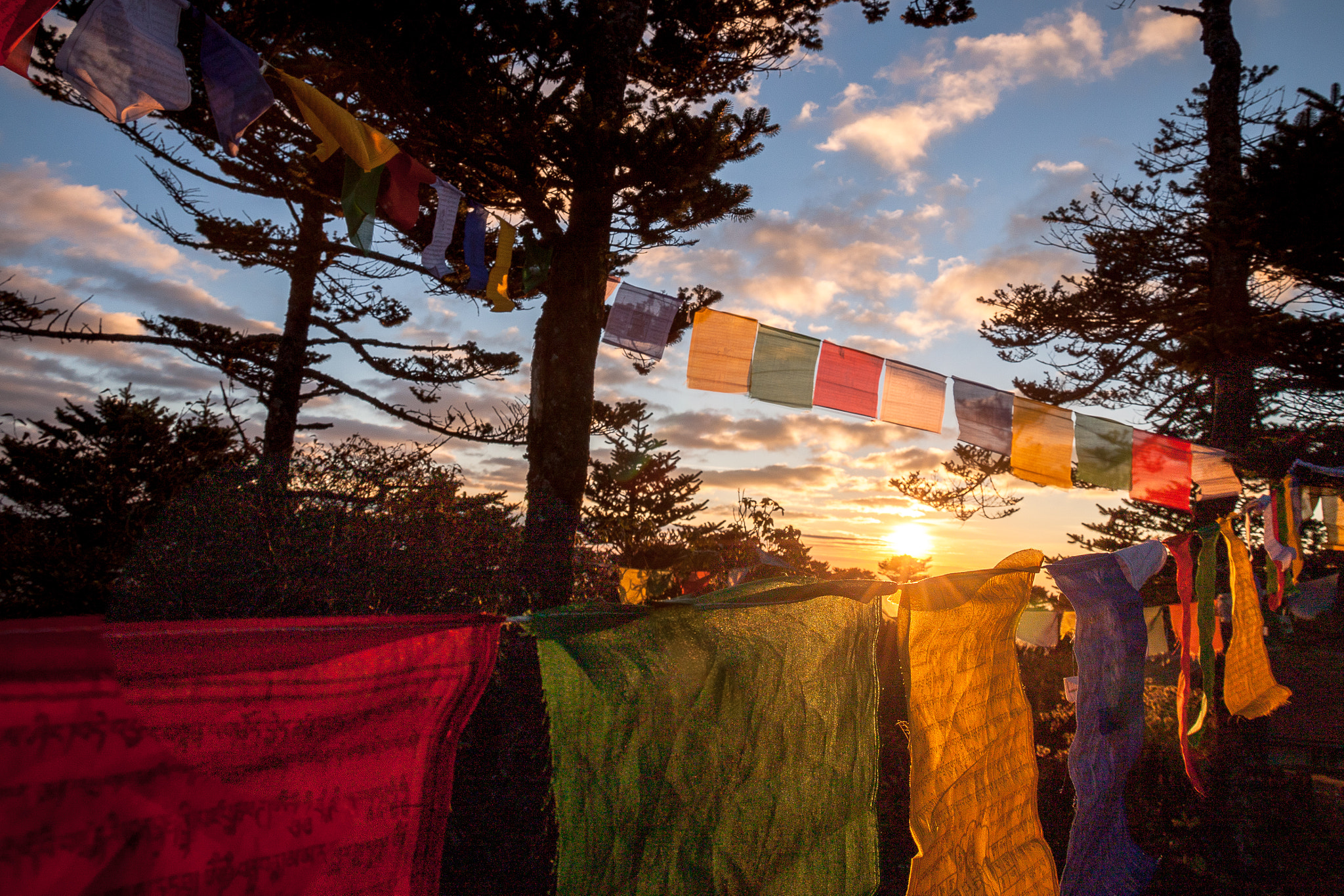 Canon EOS 500D (EOS Rebel T1i / EOS Kiss X3) sample photo. Prayer flags in himalayan singalila national park photography