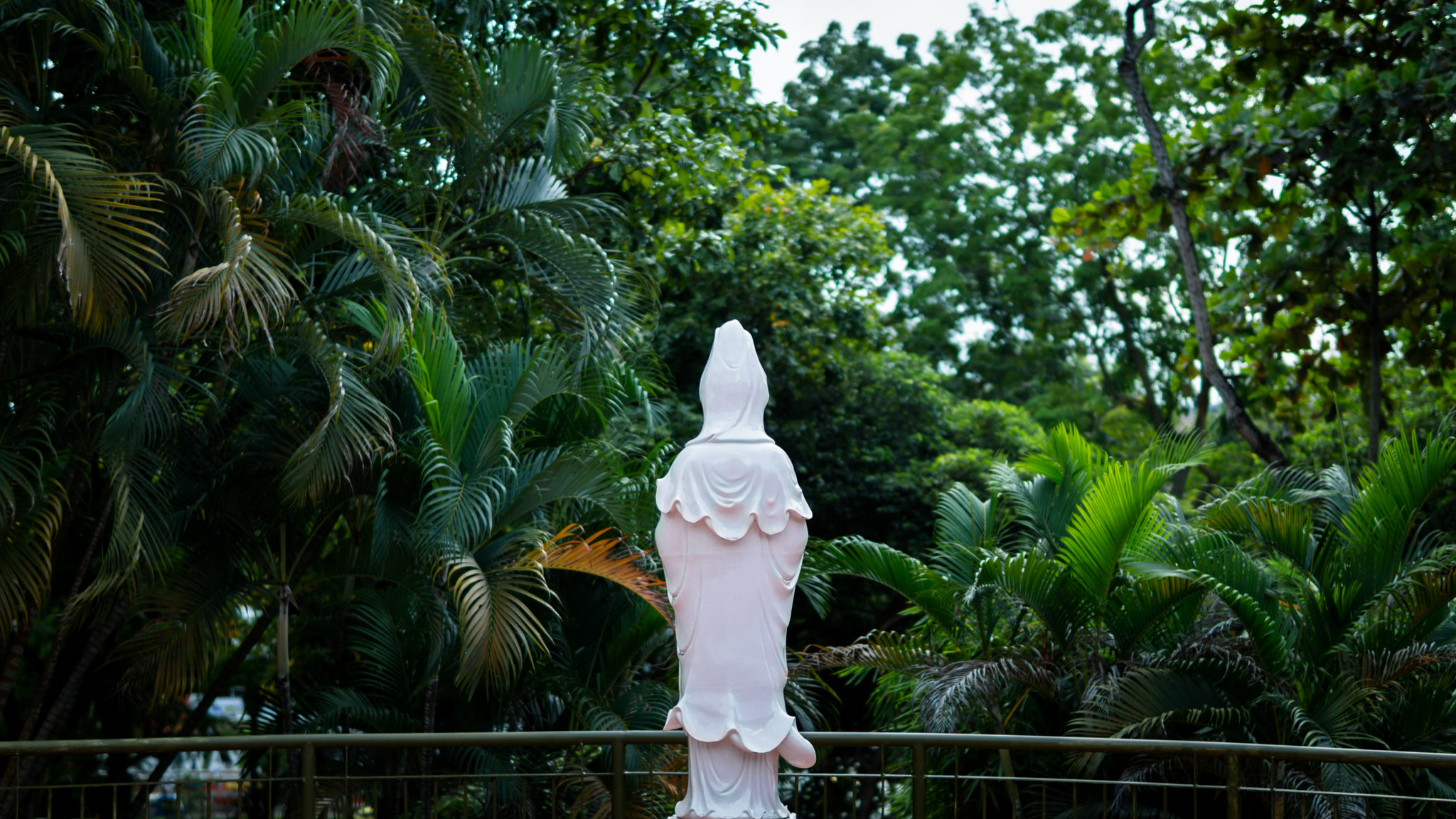 Sony a5100 sample photo. Finding budda photography