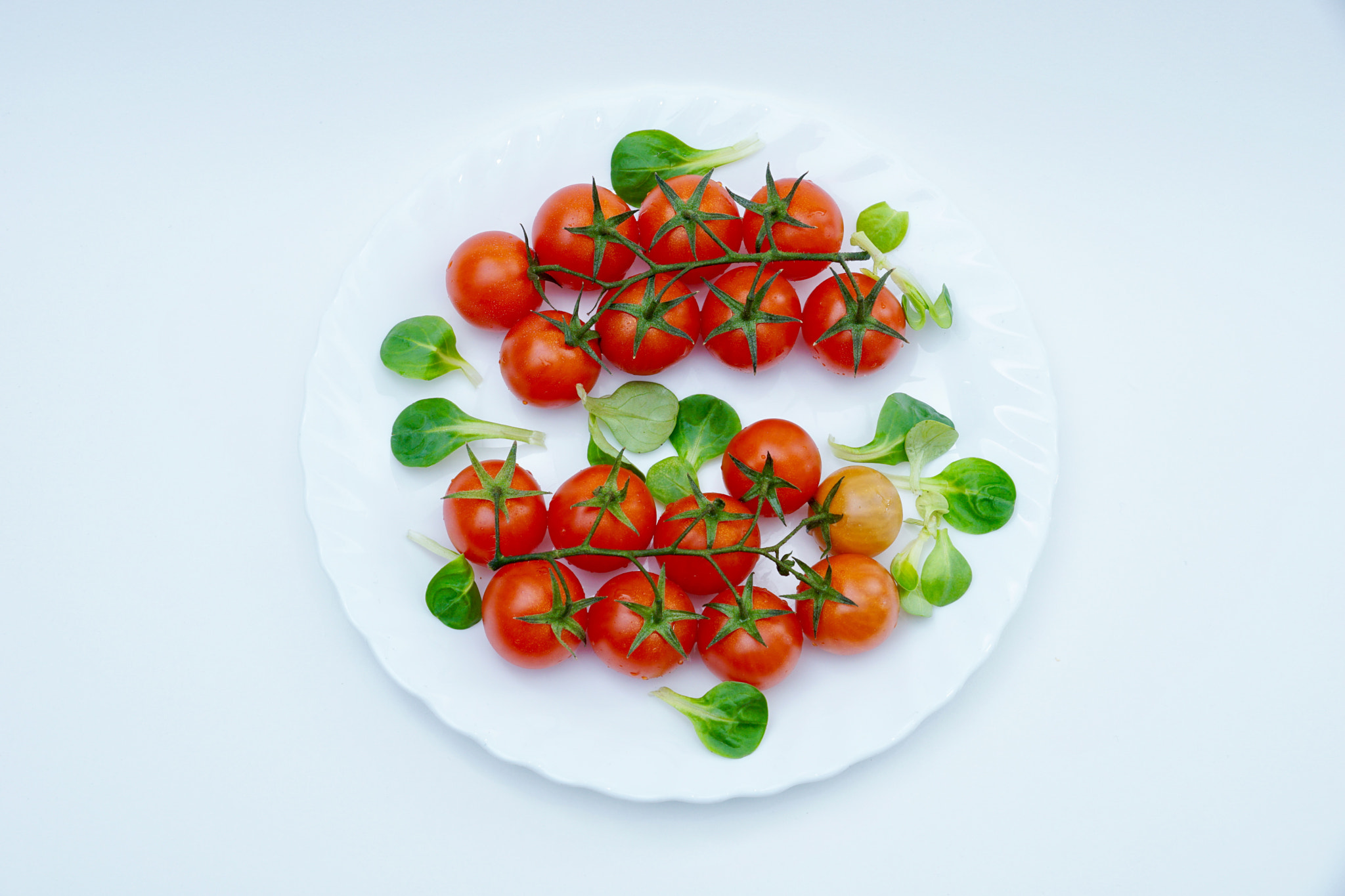 Sony DT 16-105mm F3.5-5.6 sample photo. Tomate cherry / cherry tomato photography