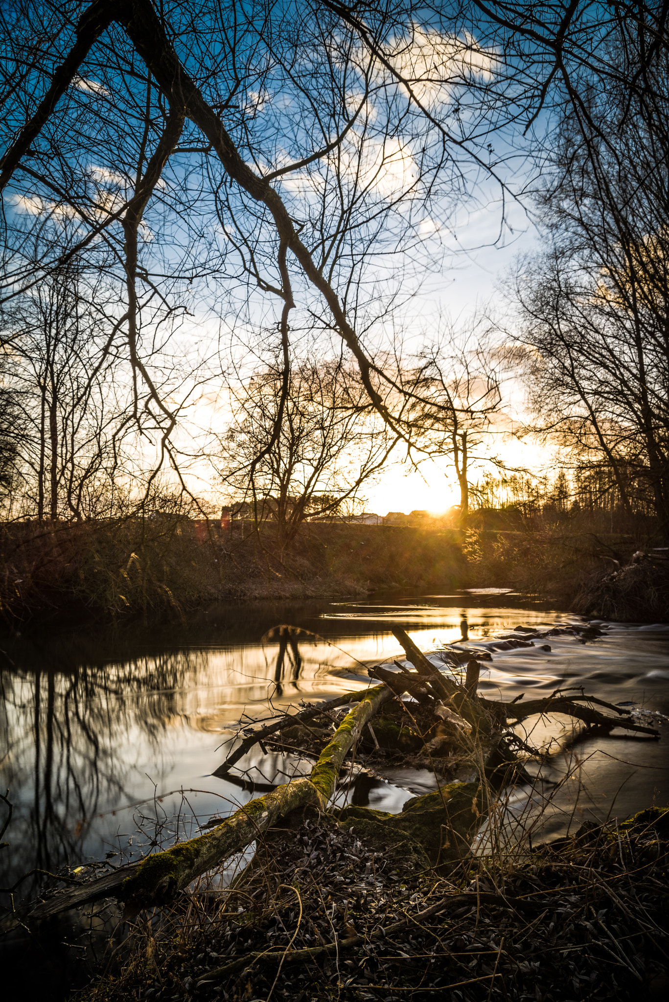 Pentax K-1 sample photo. Light and too much timber photography