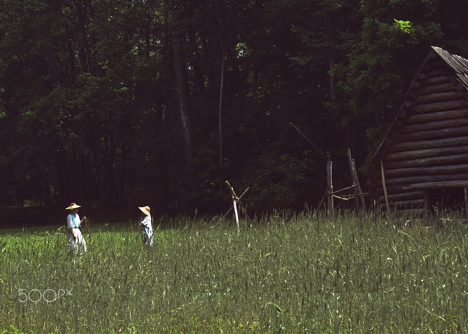 AF Zoom-Nikkor 35-70mm f/2.8 sample photo. Farmers in the field photography