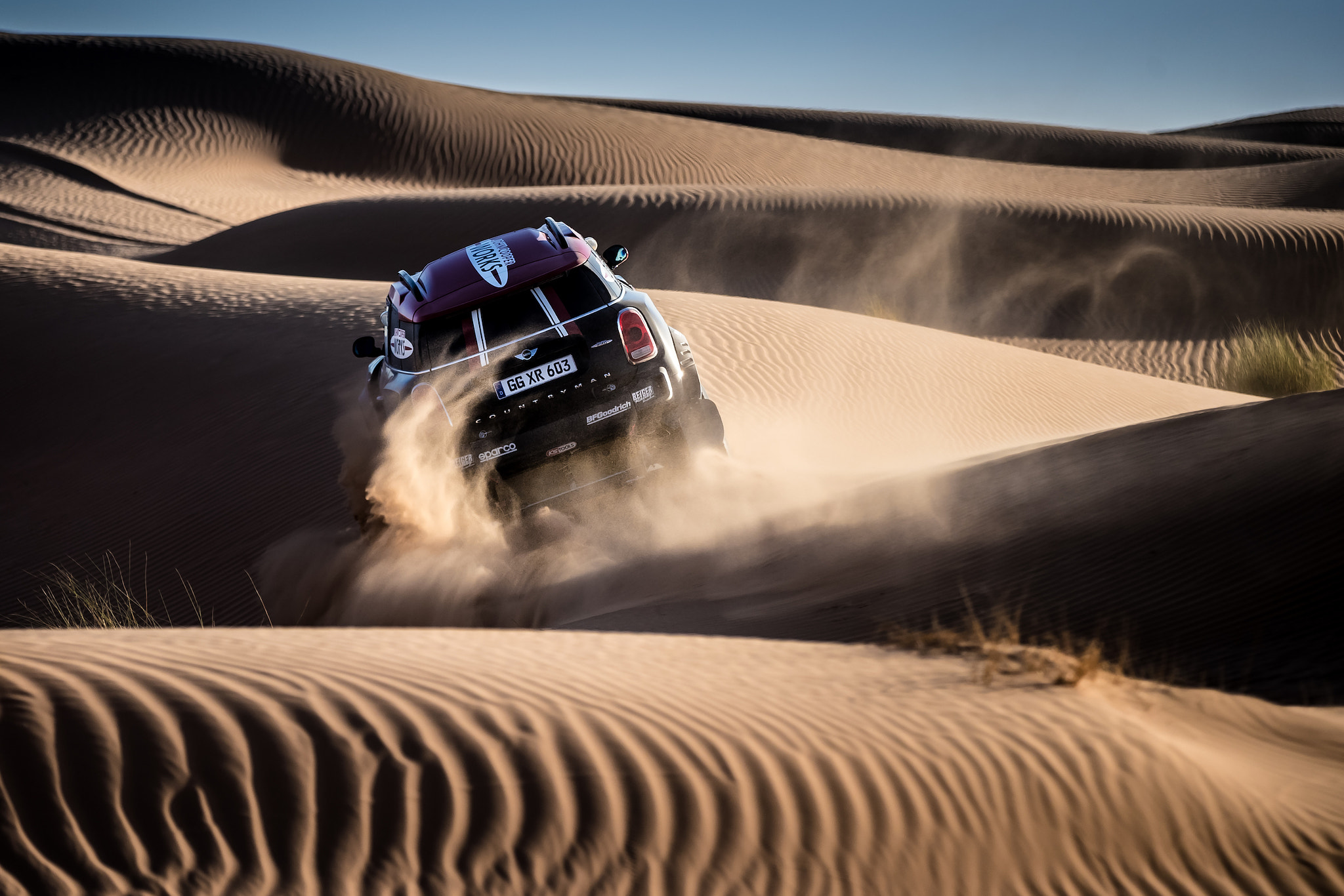 Canon EOS-1D X Mark II sample photo. The beauty of the dunes photography