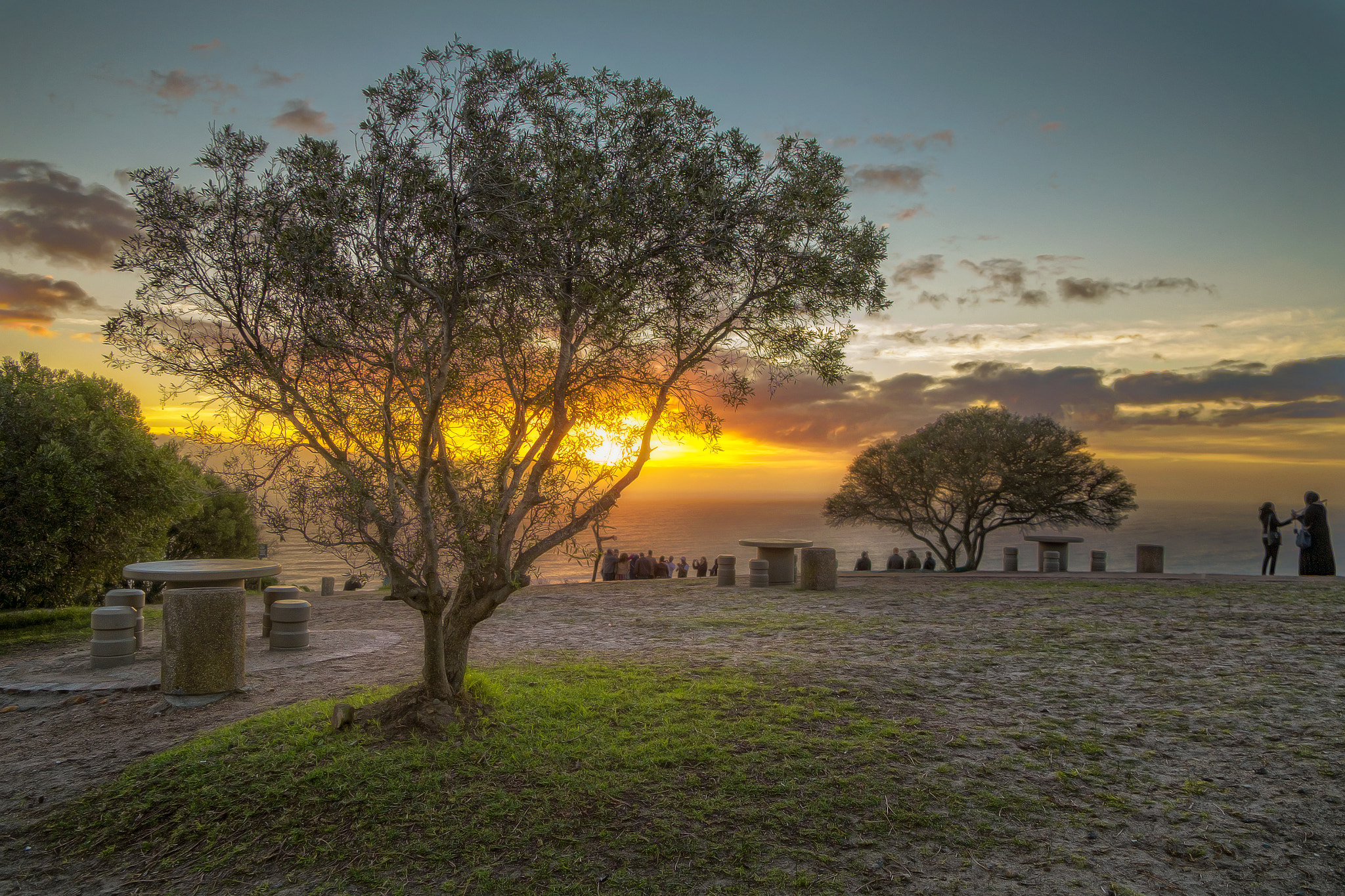 Fujifilm X-Pro1 + Fujifilm XF 18-55mm F2.8-4 R LM OIS sample photo. Tree of life photography