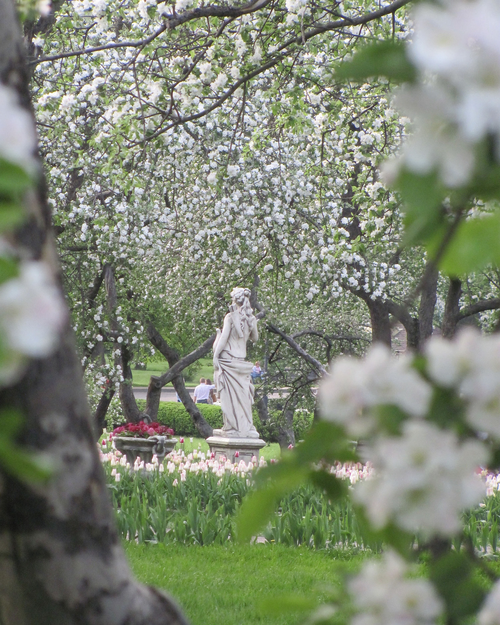 Canon PowerShot SX120 IS sample photo. () photography