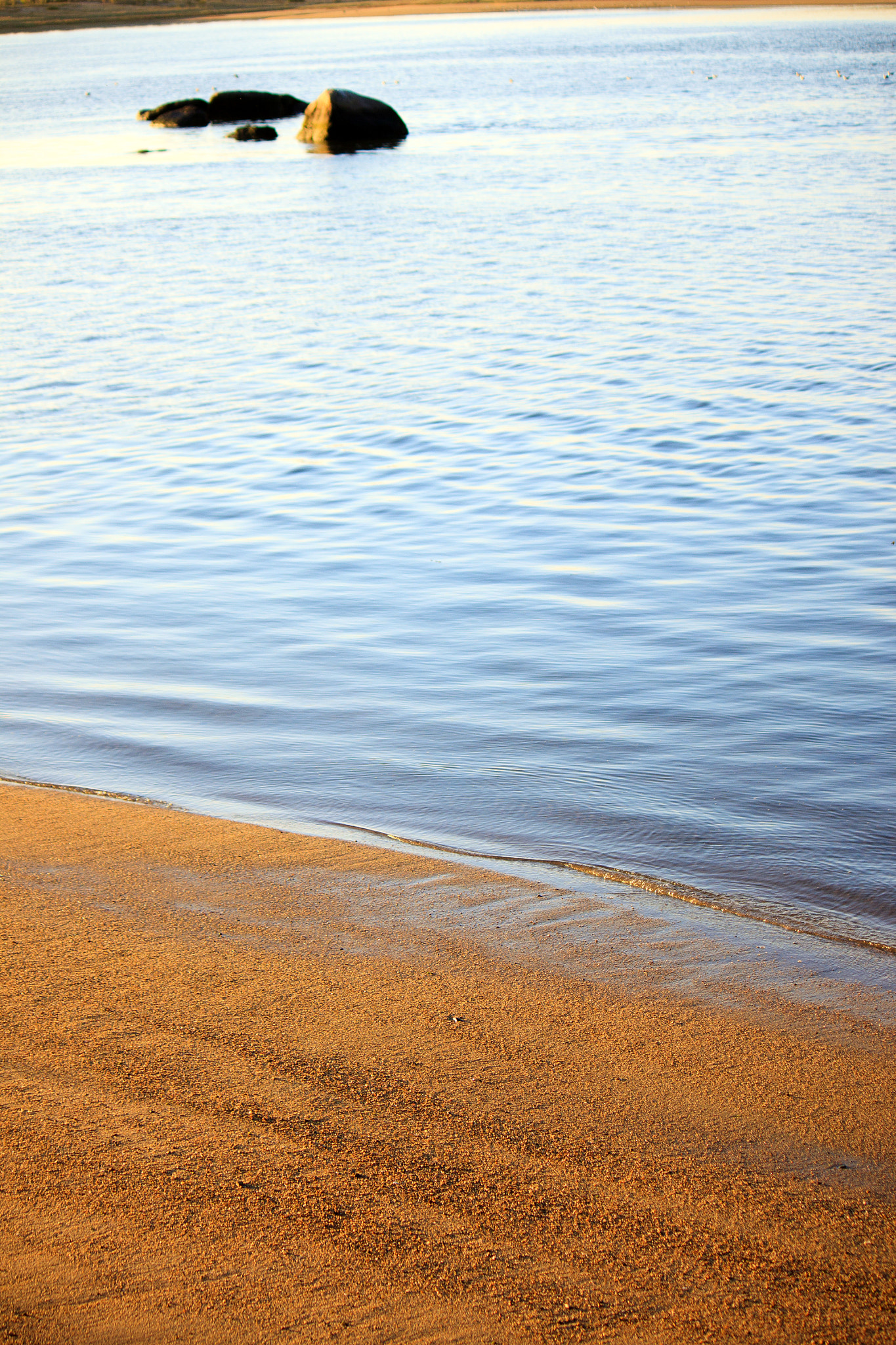 Canon EF-S 55-250mm F4-5.6 IS sample photo. Silence photography