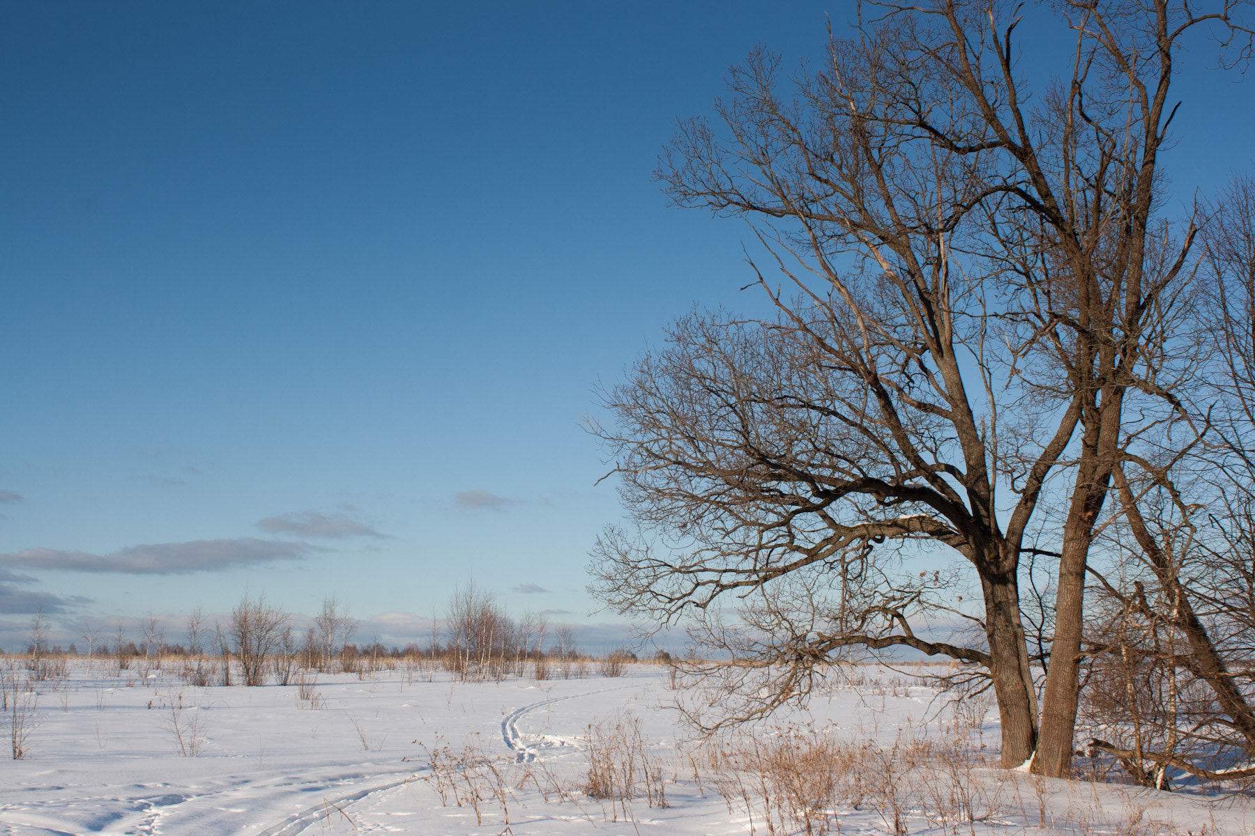 Canon EF 28mm F1.8 USM sample photo. Winter photography