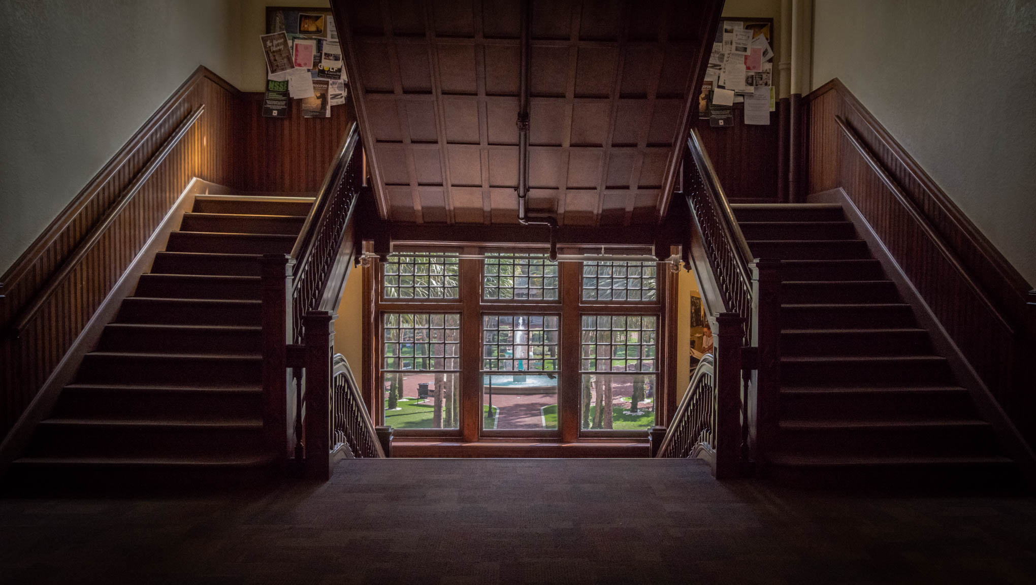 Nikon D7200 sample photo. Stetson universtity photography