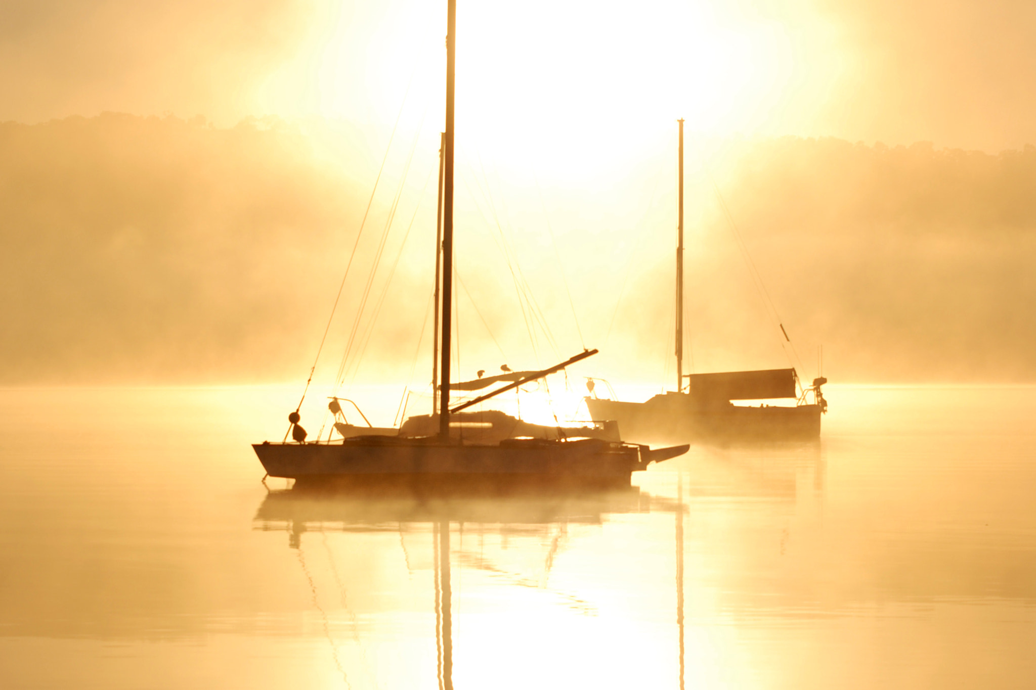 Nikon D80 sample photo. Coloured mist photography