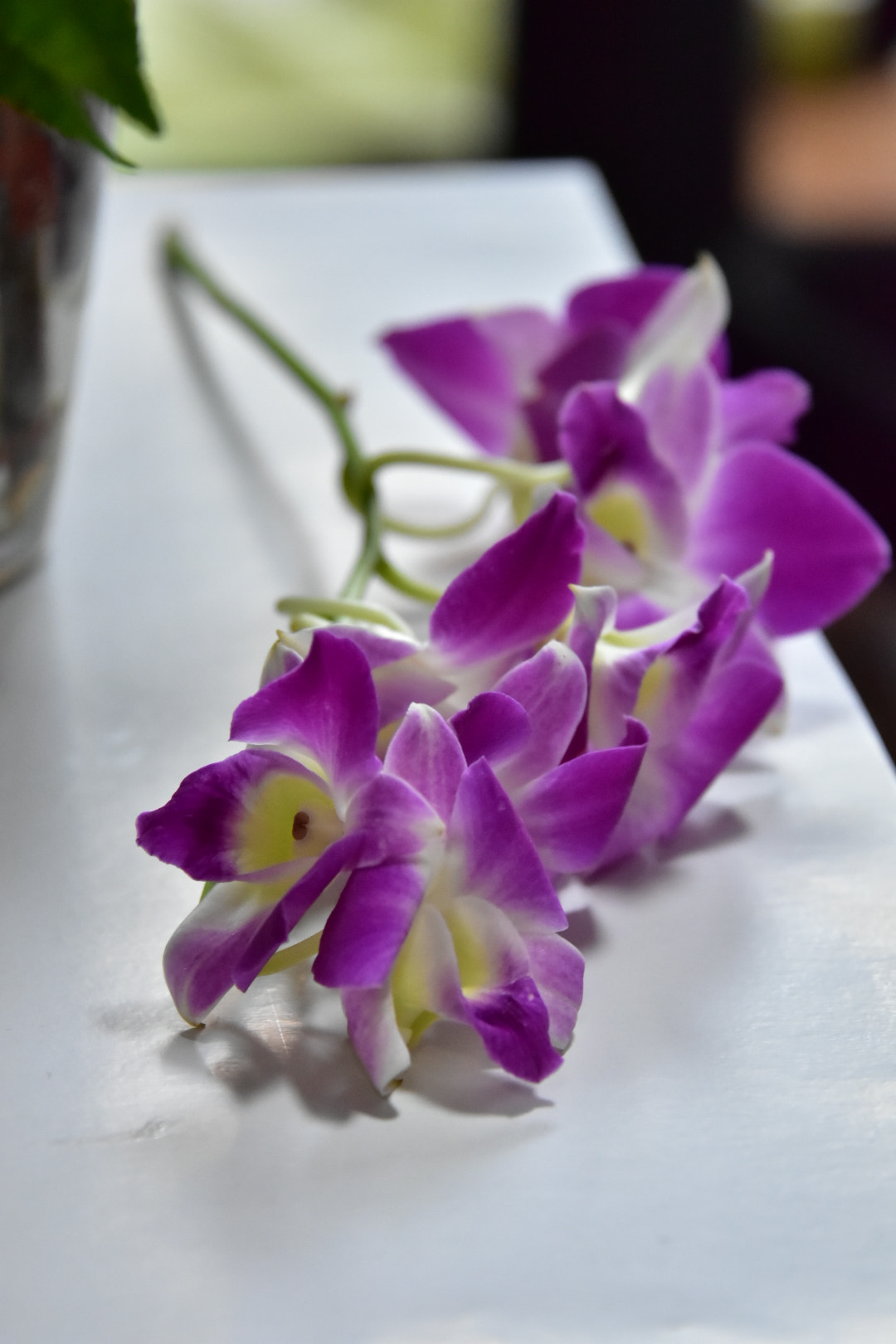 Nikon D7200 sample photo