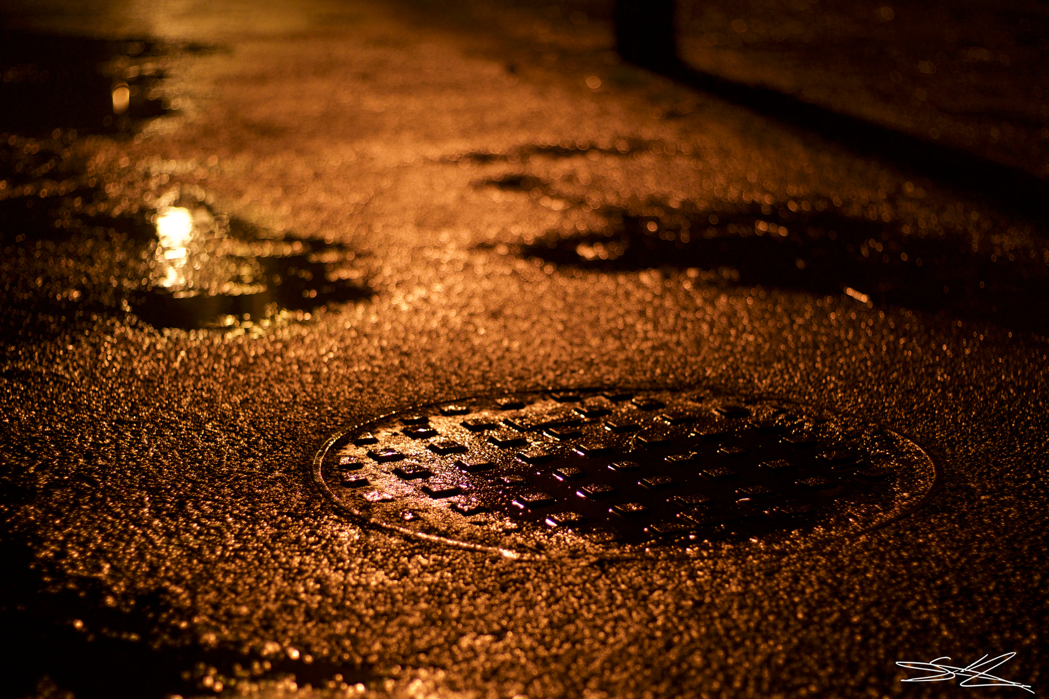 Sony a6000 + Sony DT 50mm F1.8 SAM sample photo. Fluorescent photography