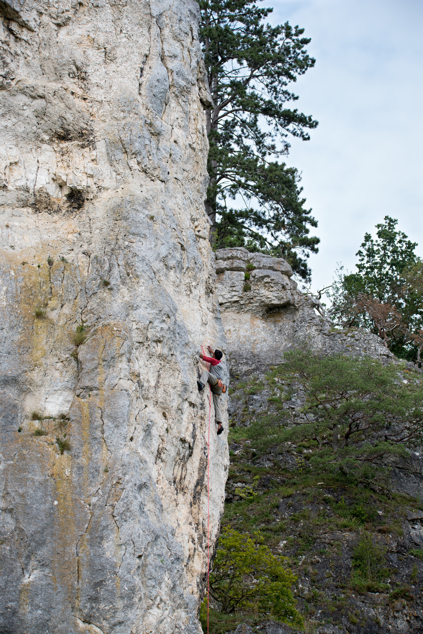 Sigma 150-600mm F5-6.3 DG OS HSM | S sample photo. Cliffhanger photography