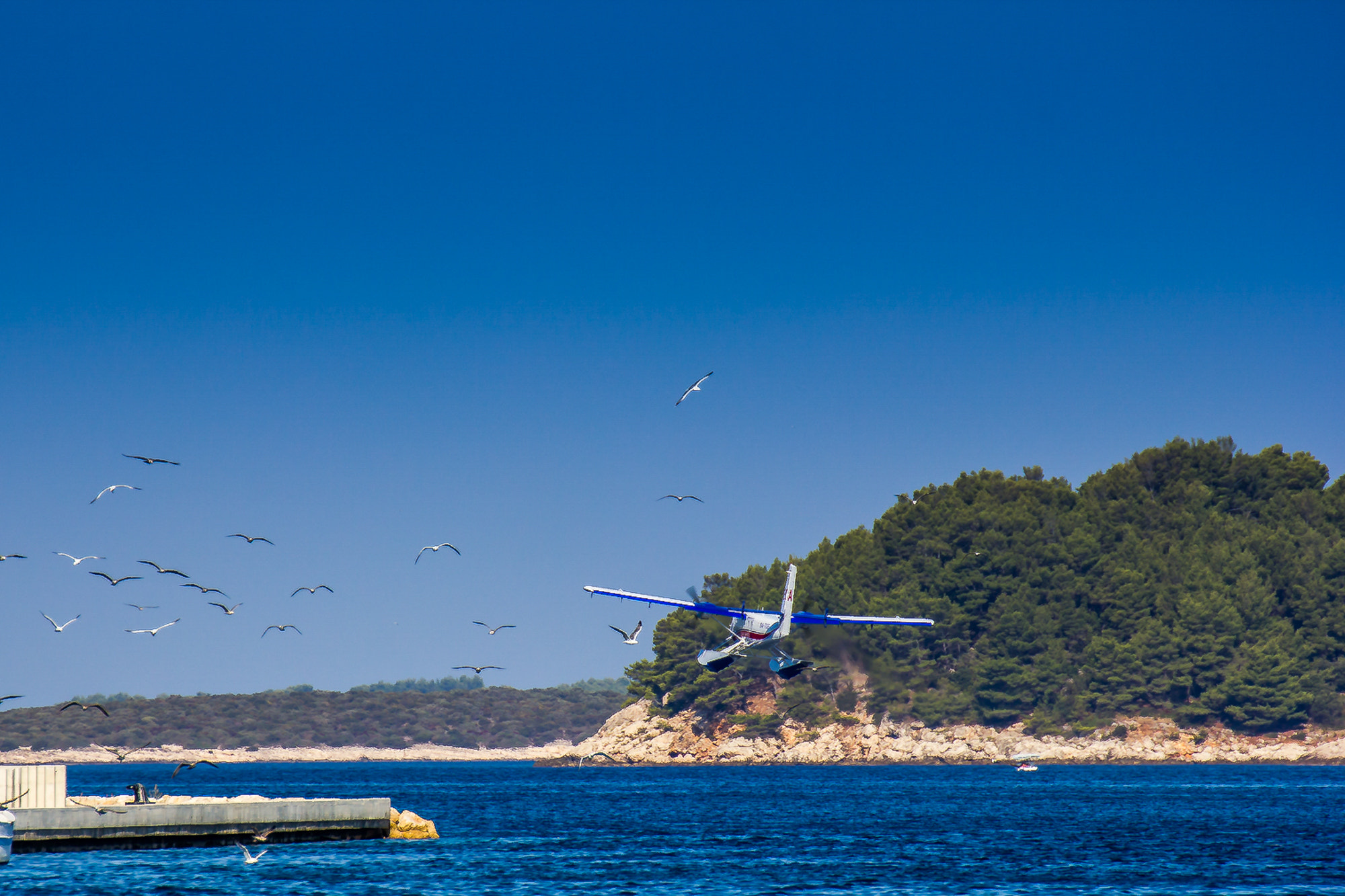 Tamron SP 35mm F1.8 Di VC USD sample photo. Aaaaand takeoff...!!! photography