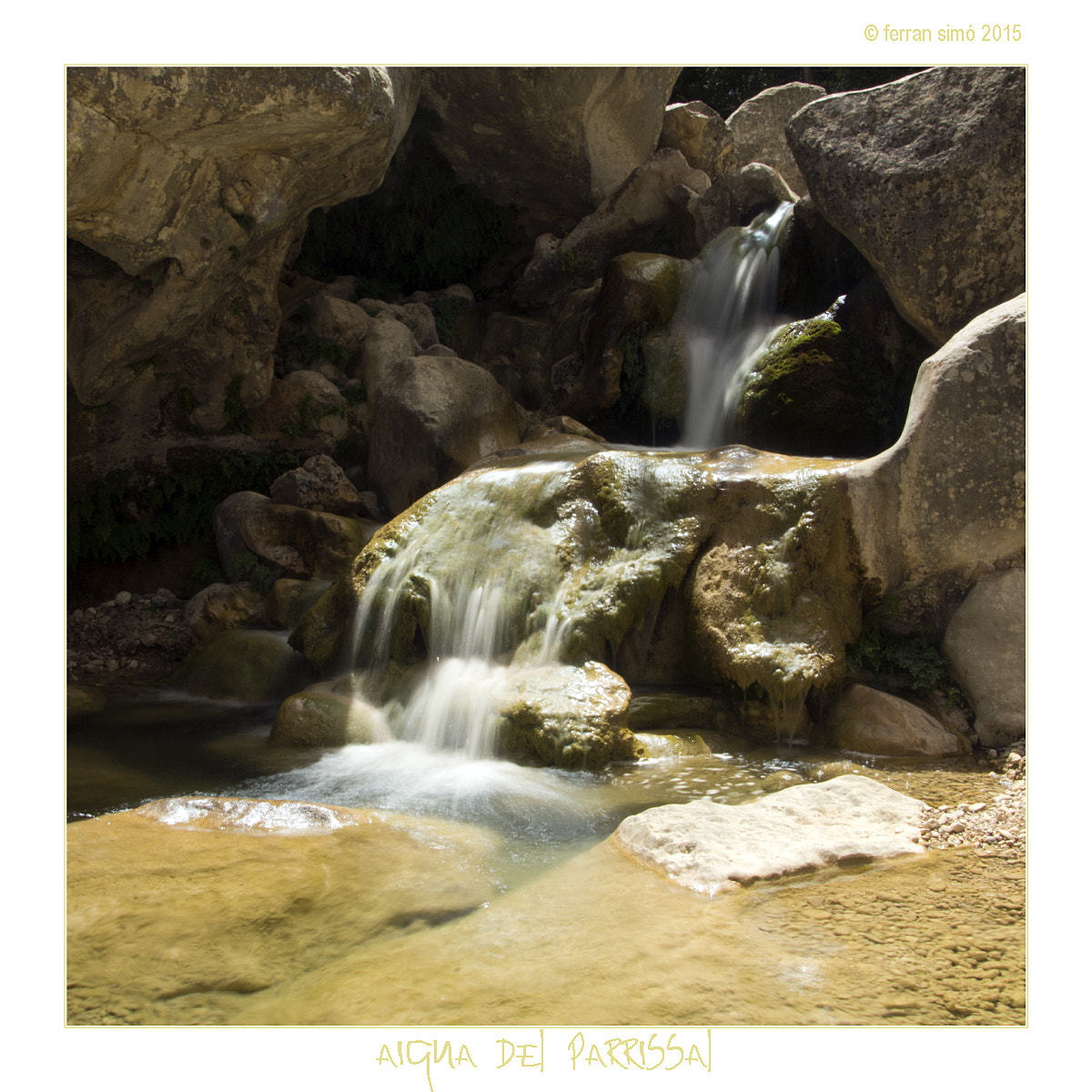 Canon EOS 60D sample photo. Parrissal photography