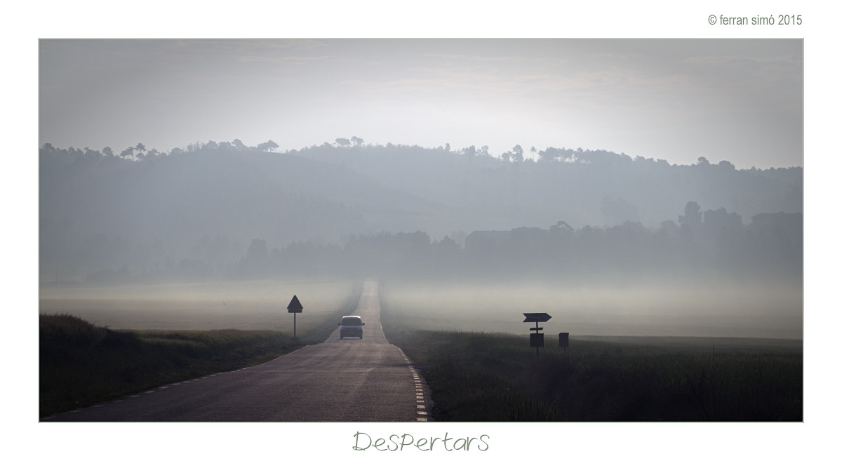 Canon EOS 60D sample photo. Despertars photography