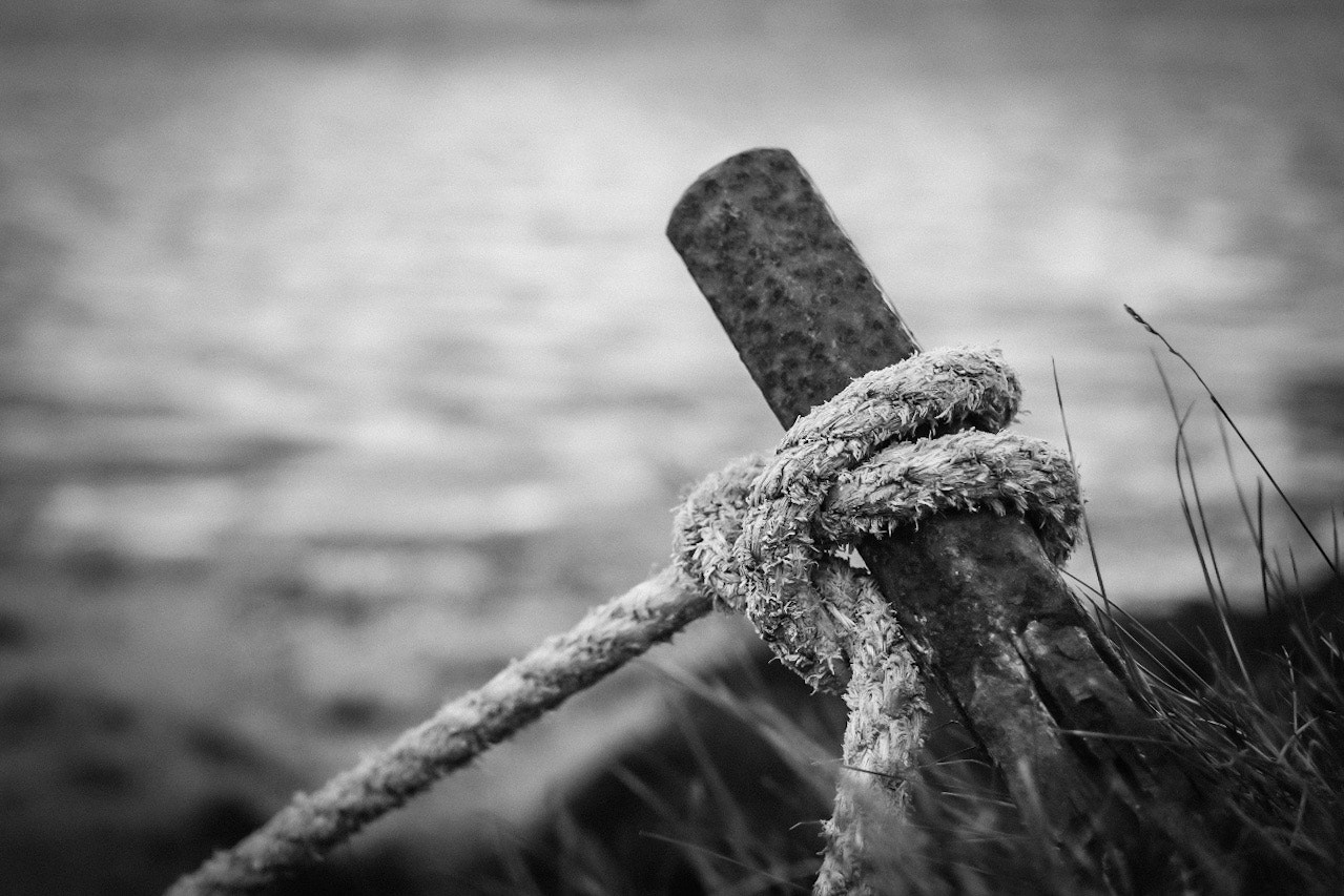 Fujifilm XF 27mm F2.8 sample photo. Clove hitch photography