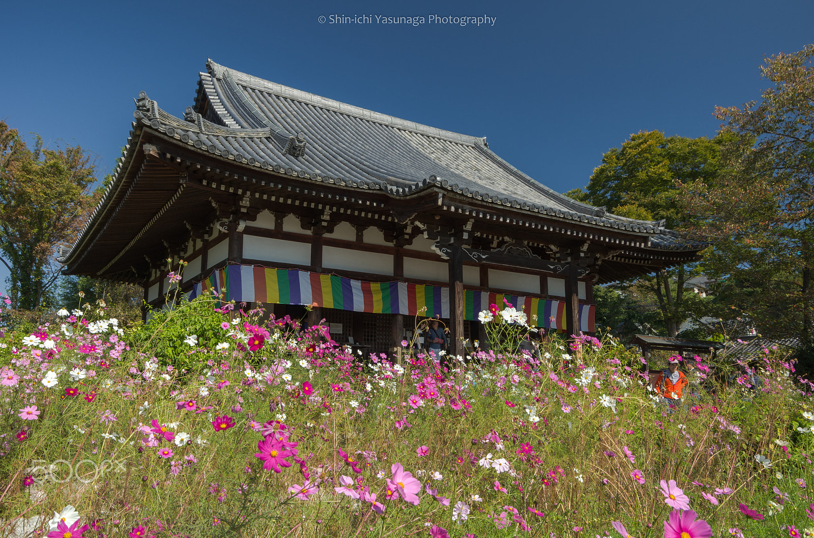 Pentax K-30 + Pentax smc DA 18-135mm F3.5-5.6ED AL [IF] DC WR sample photo. Hannya-ji temple in nara city,japan. photography