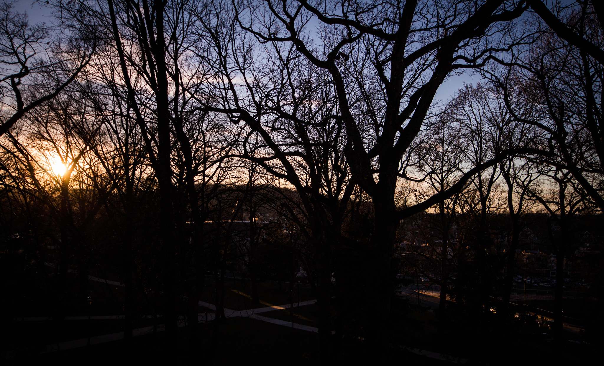Sigma 10-20mm F4-5.6 EX DC HSM sample photo. Campus trees photography