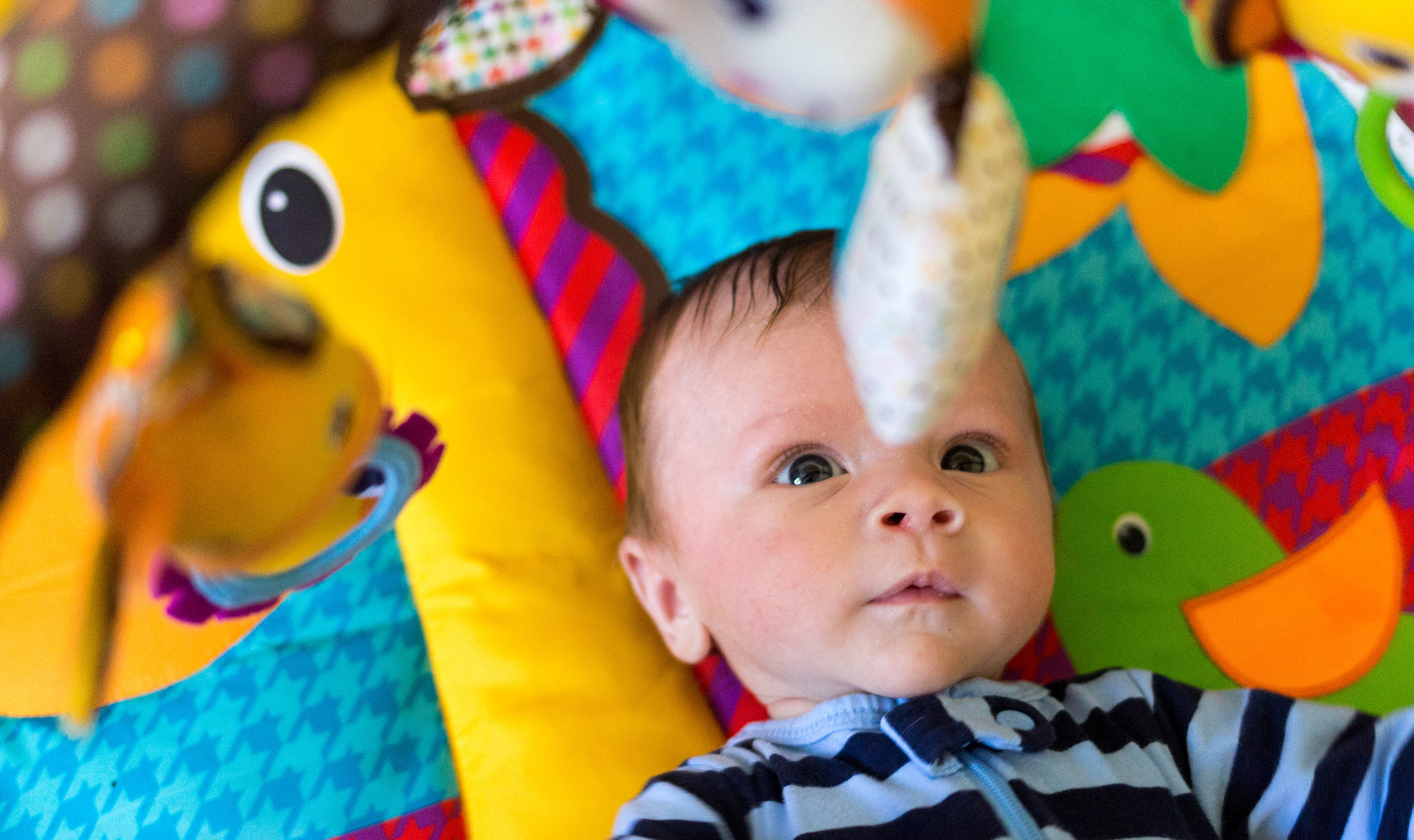 Canon EF 35mm F2 IS USM sample photo. Carter checking out some of his toys photography