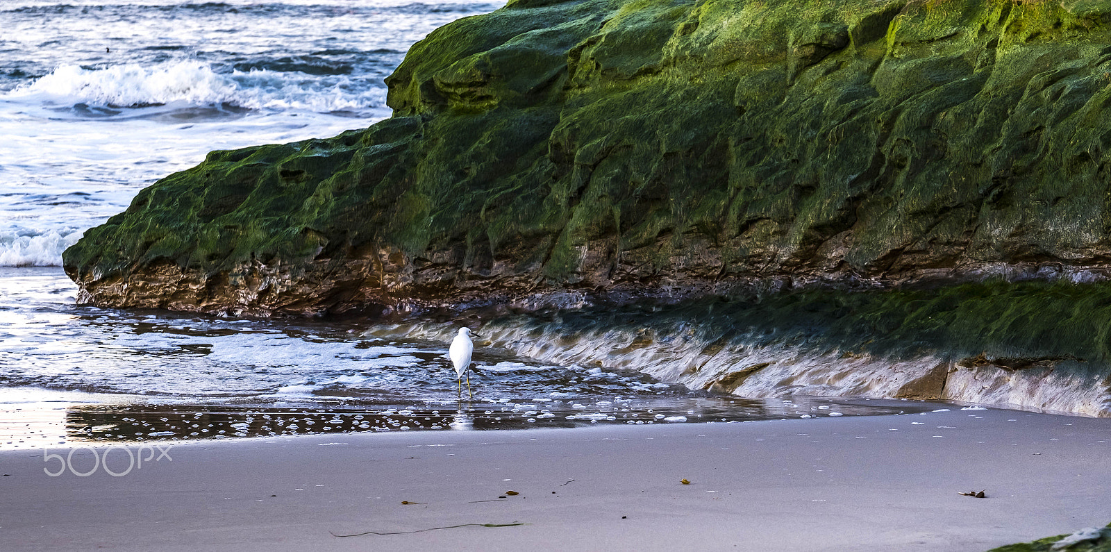 Fujifilm XF 50-140mm F2.8 R LM OIS WR sample photo. Natural bridges in santa cruz, ca. photography