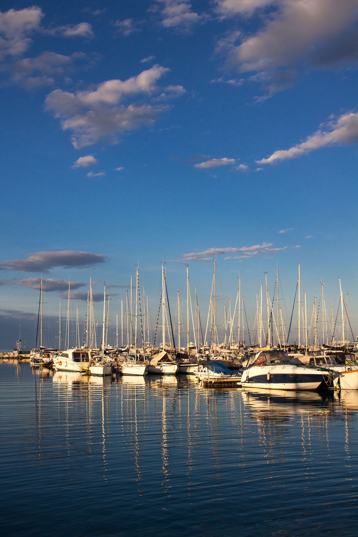 Canon EF-S 24mm F2.8 STM sample photo. Img photography