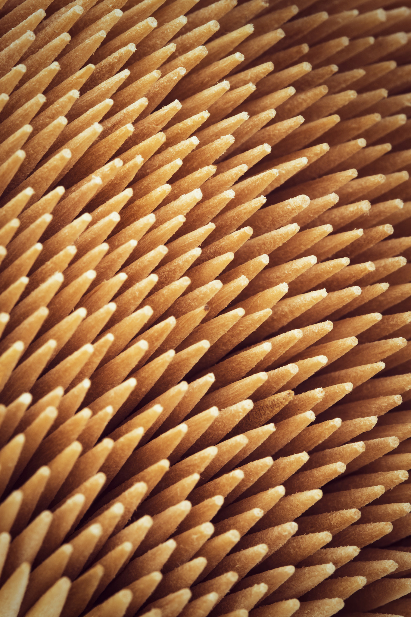 Nikon D5500 sample photo. Toothpicks texture photography