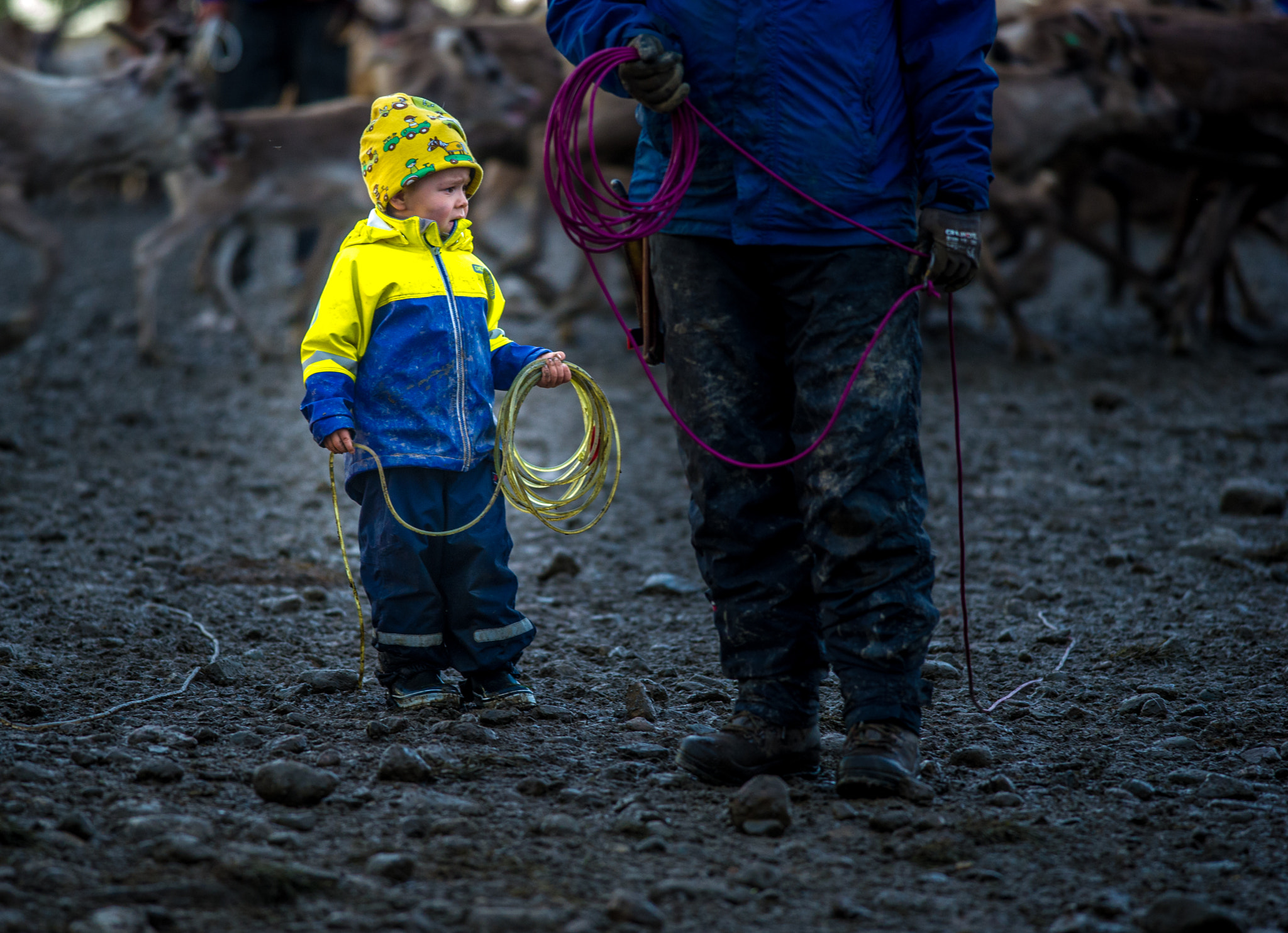 Nikon D3S + Nikon AF-S Nikkor 300mm F4D ED-IF sample photo. Father and his boy photography