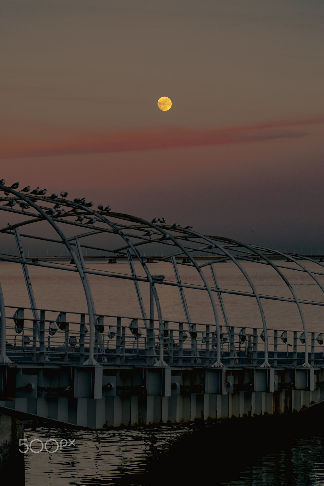 Sigma 70-300mm F4-5.6 APO DG Macro sample photo. Moon photography