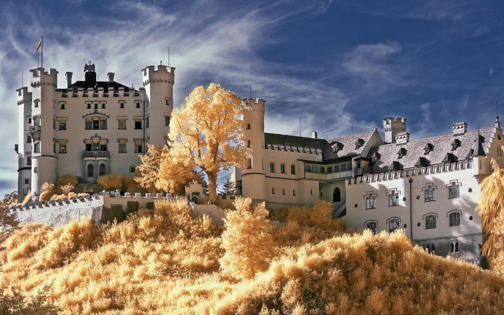Nikon D70s sample photo. Hohenschwangau photography
